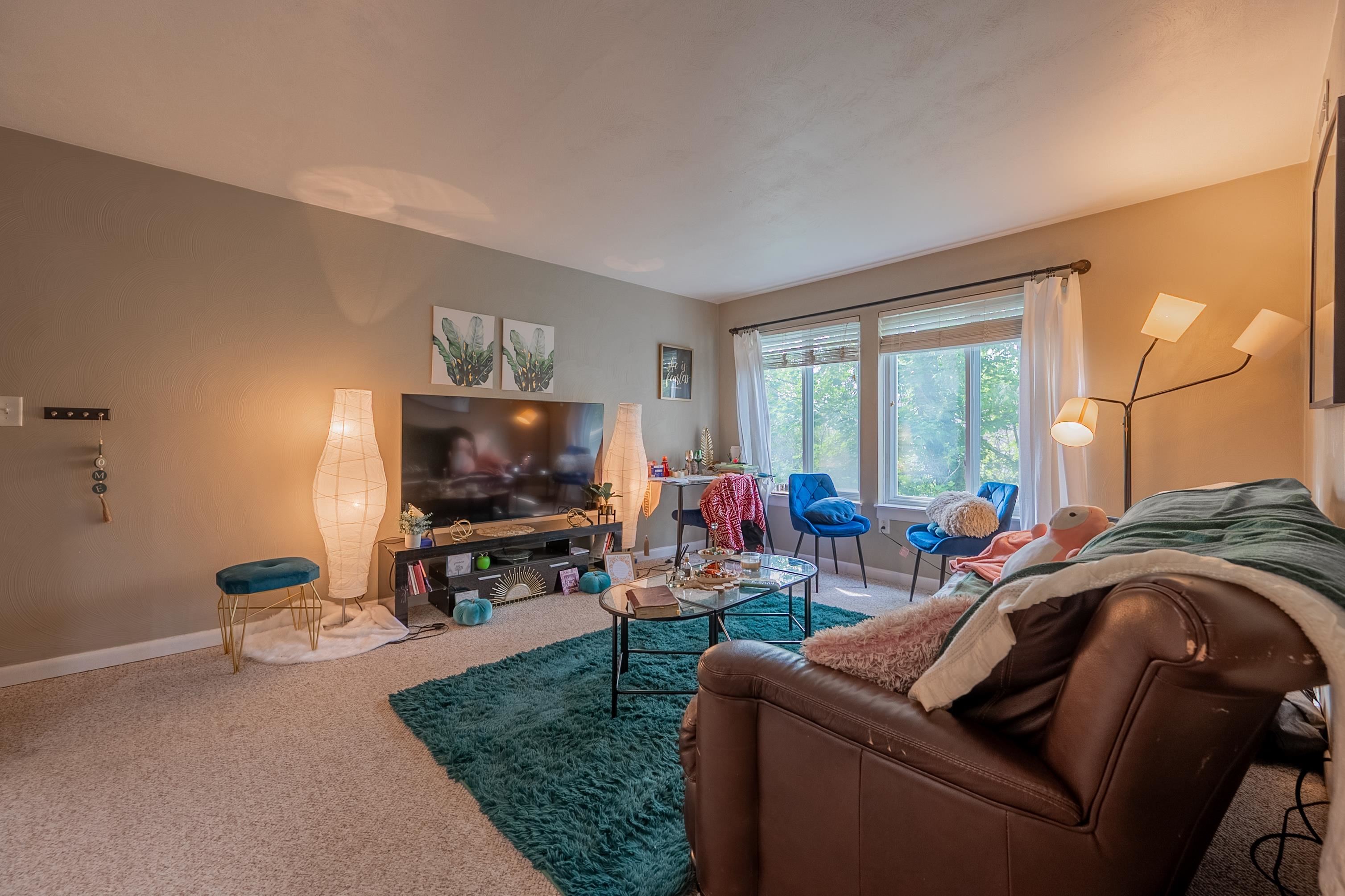 1790 Liberty Lane Blacksburg VA 24060