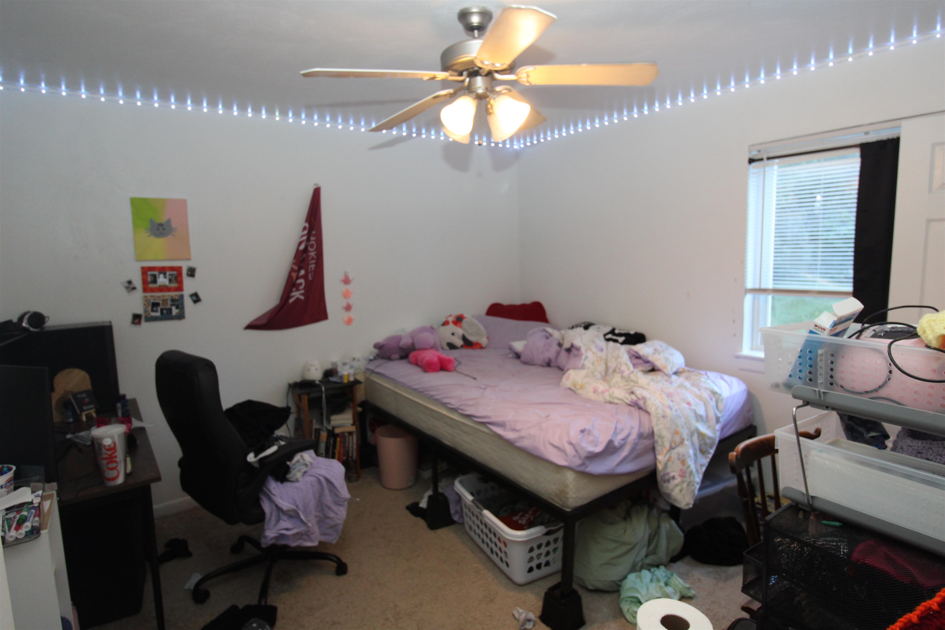 1790 Liberty Lane Blacksburg VA 24060