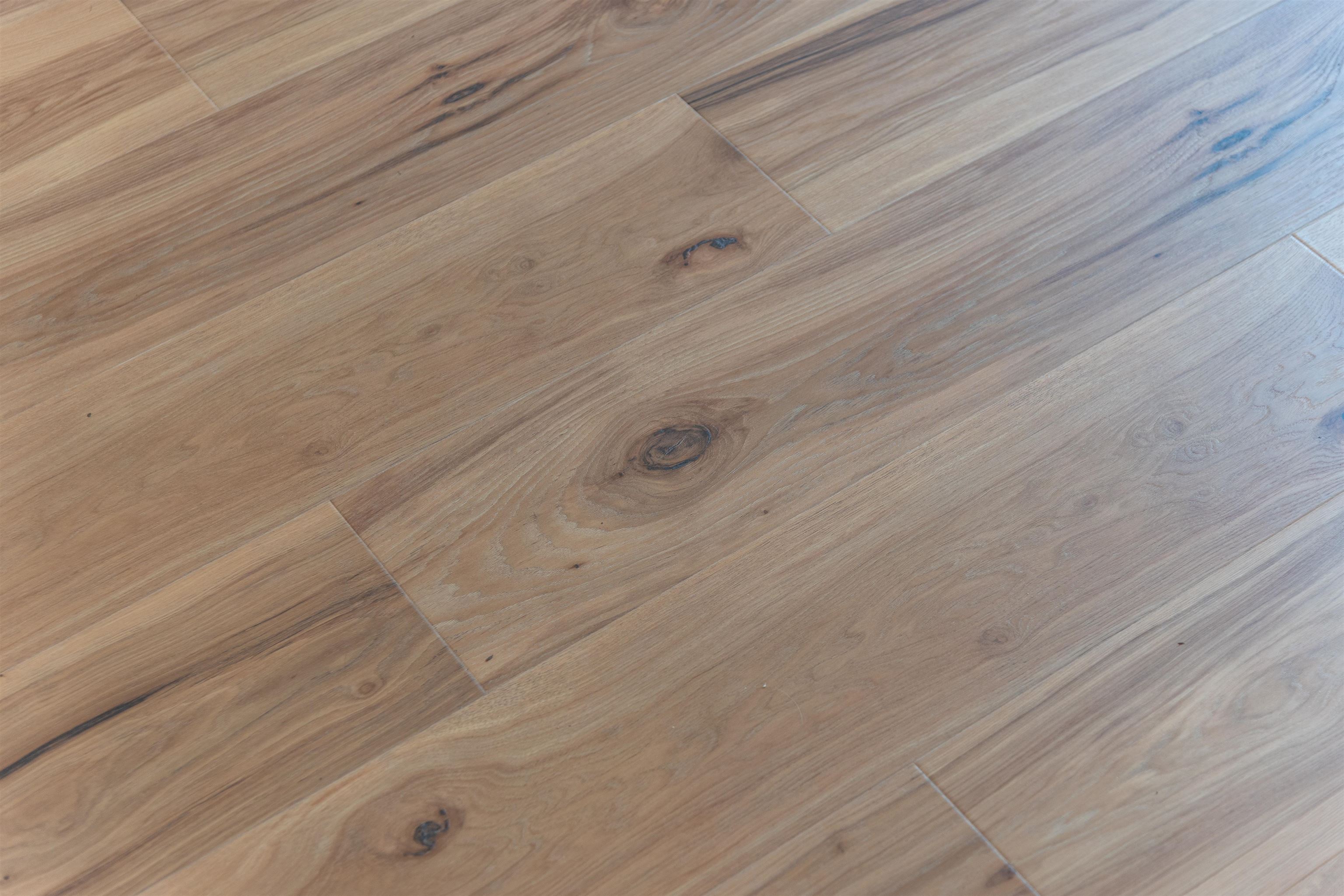 531 Belvedere Avenue Blacksburg VA 24060