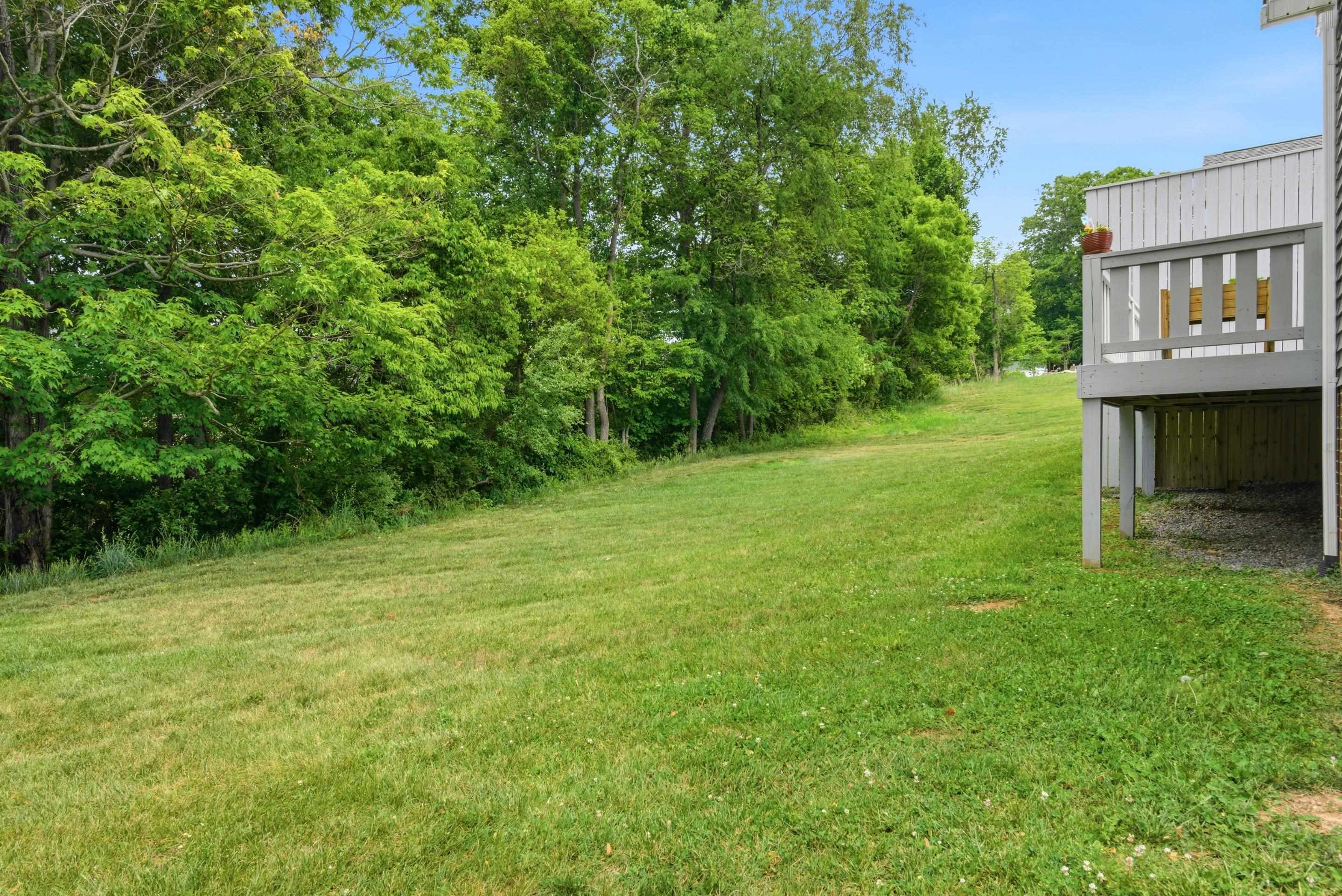 525 Hale Street Pearisburg VA 24134