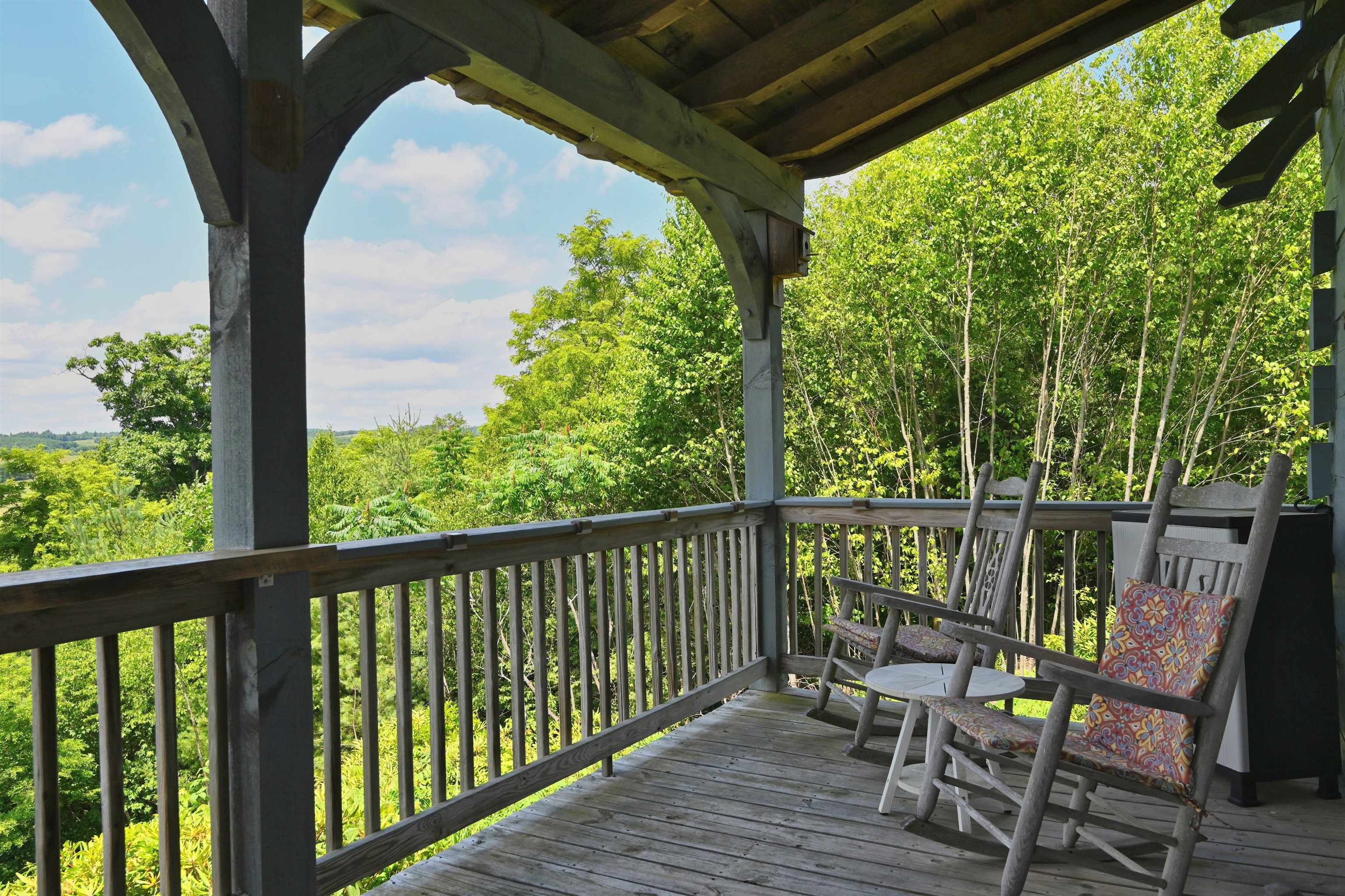 5 Mountain Village Lane Meadows Of Dan VA 24120