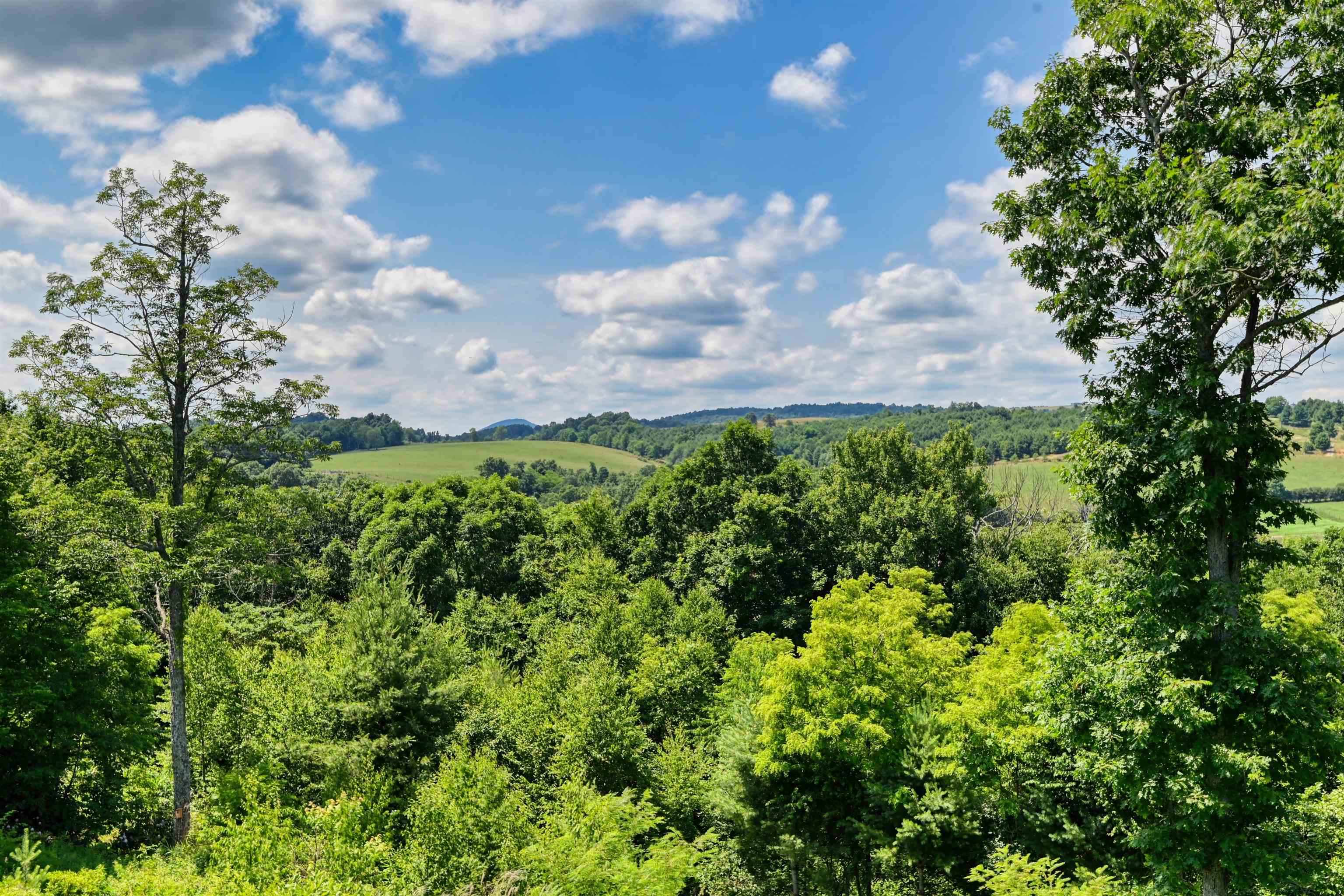 5 Mountain Village Lane Meadows Of Dan VA 24120