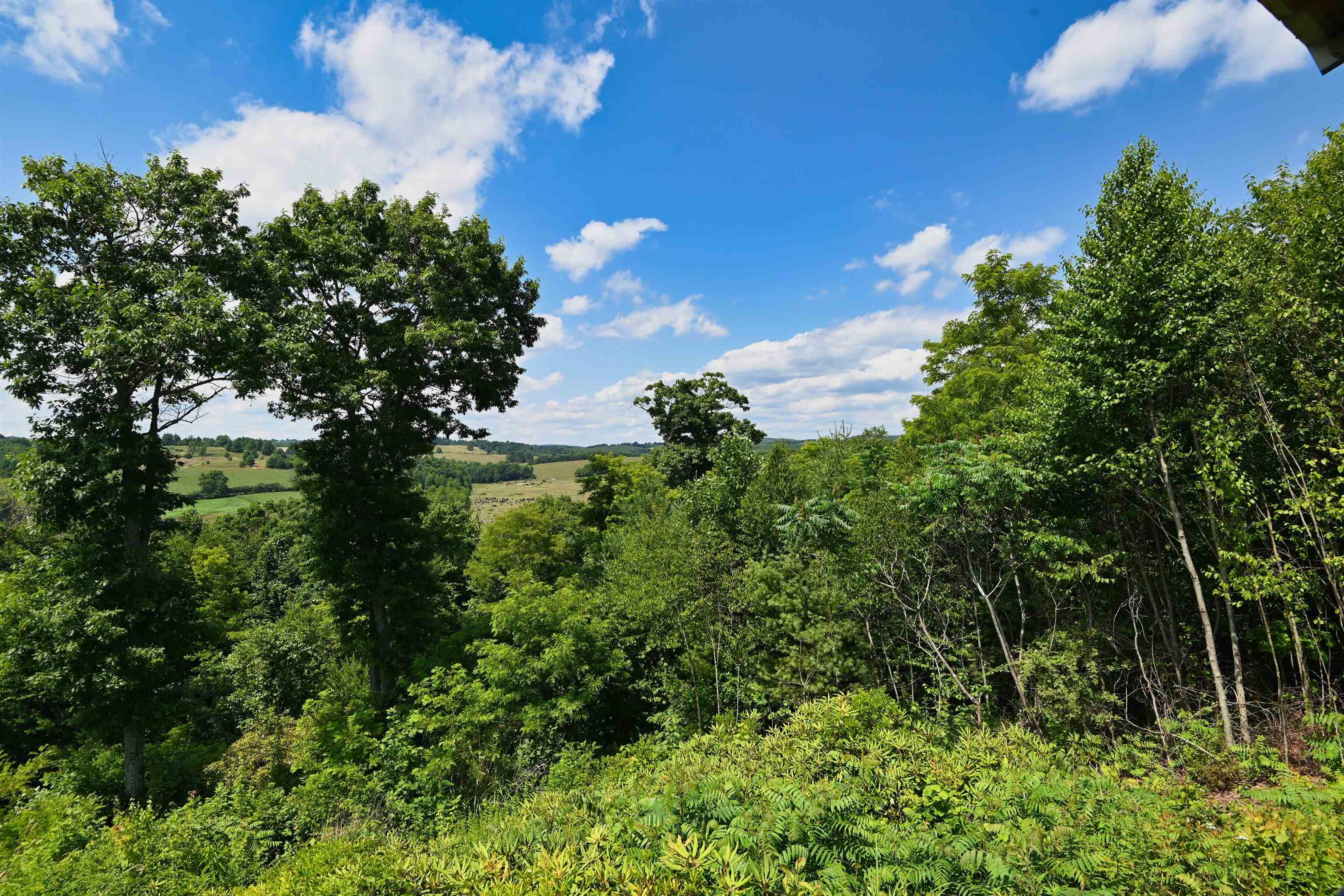 5 Mountain Village Lane Meadows Of Dan VA 24120