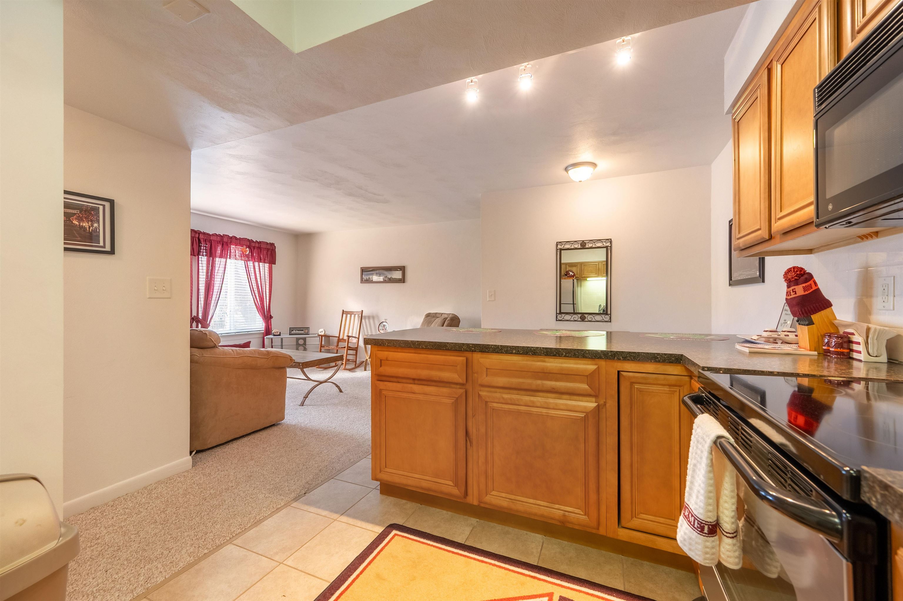 1790 Liberty Lane Blacksburg VA 24060