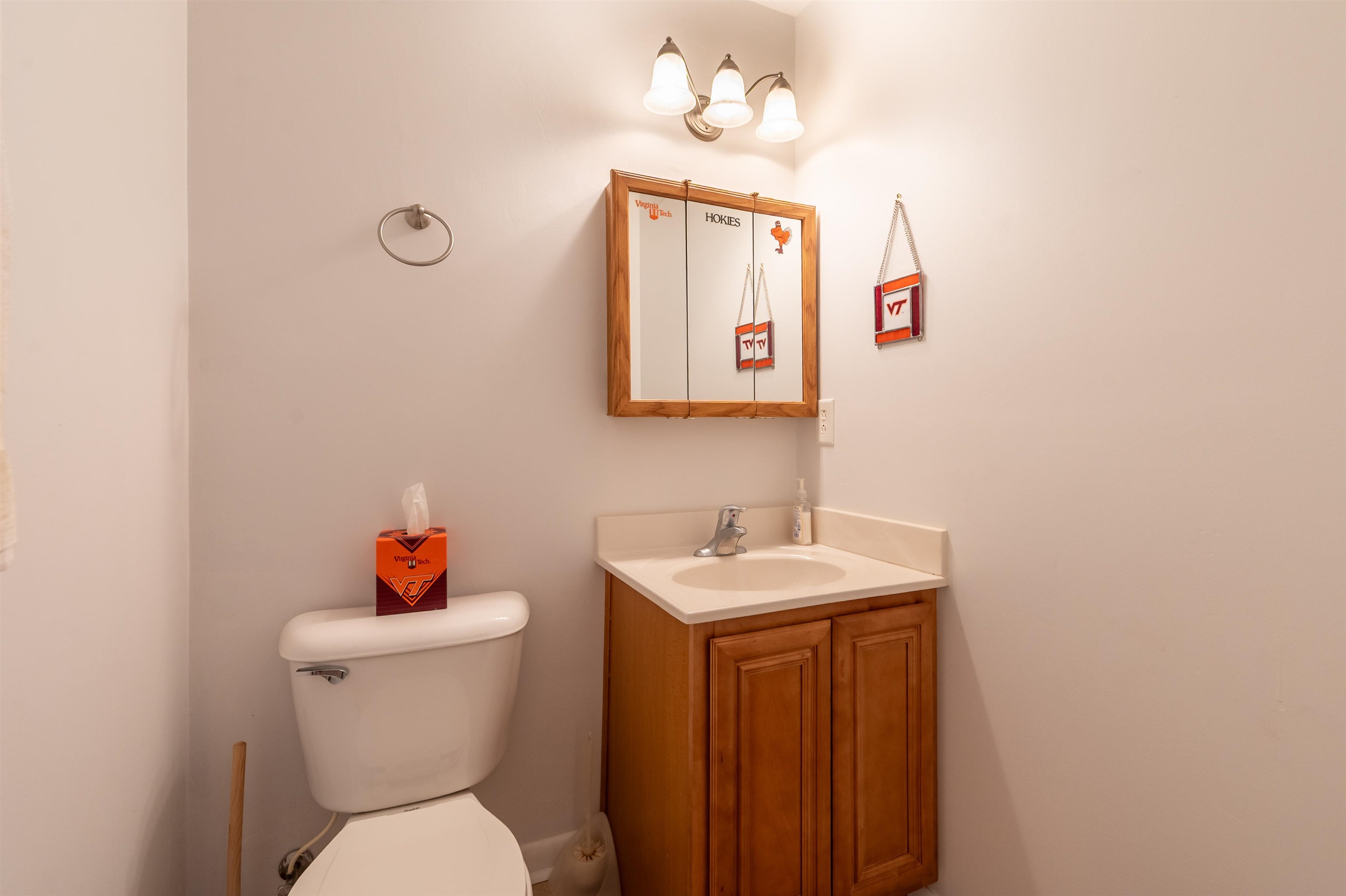 1790 Liberty Lane Blacksburg VA 24060