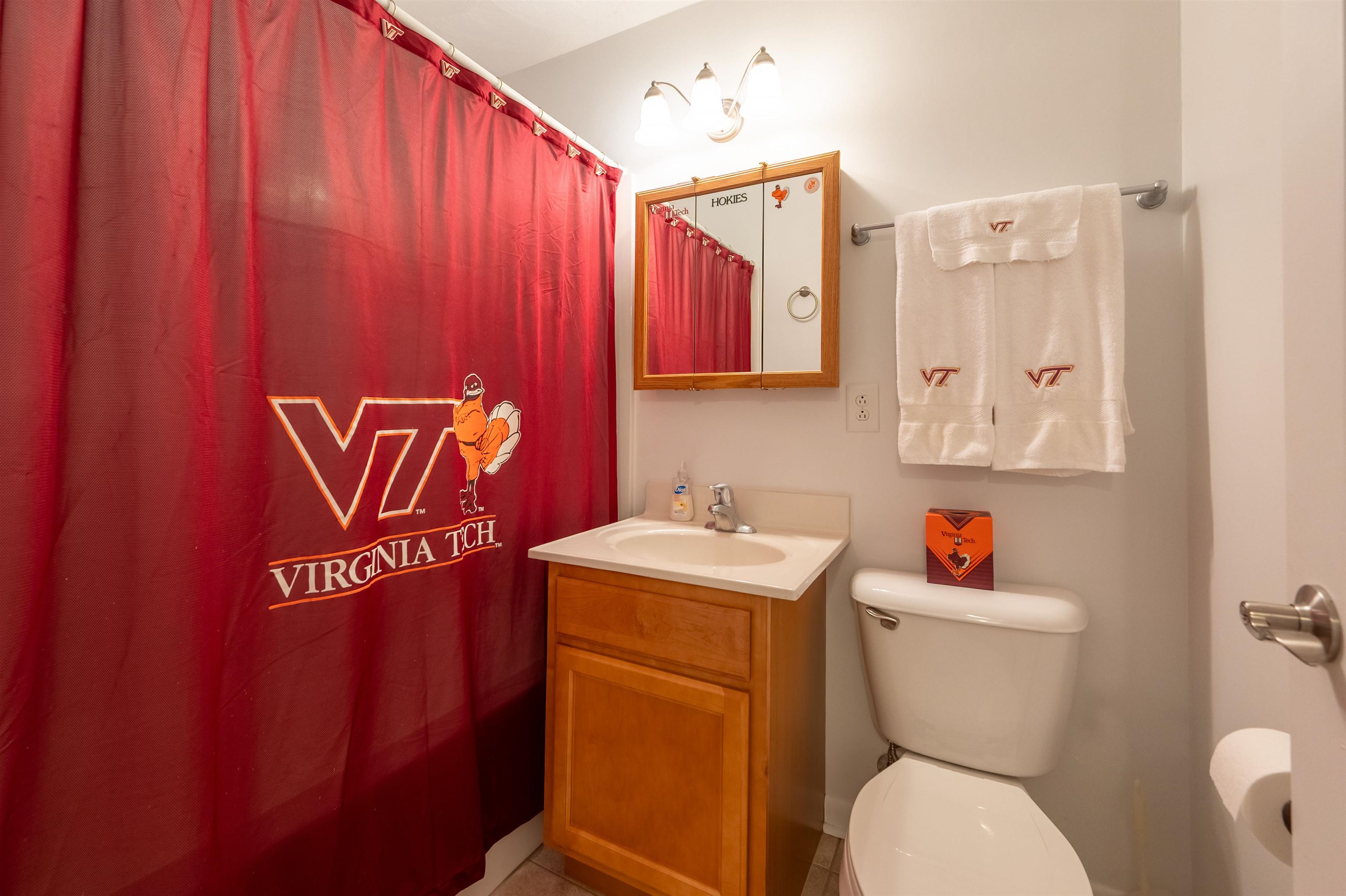 1790 Liberty Lane Blacksburg VA 24060