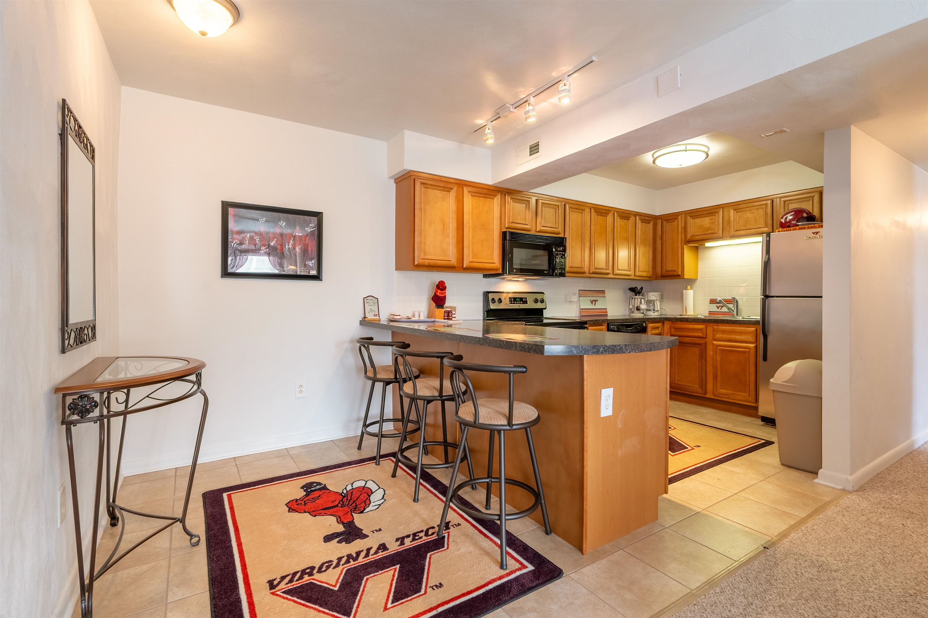 1790 Liberty Lane Blacksburg VA 24060
