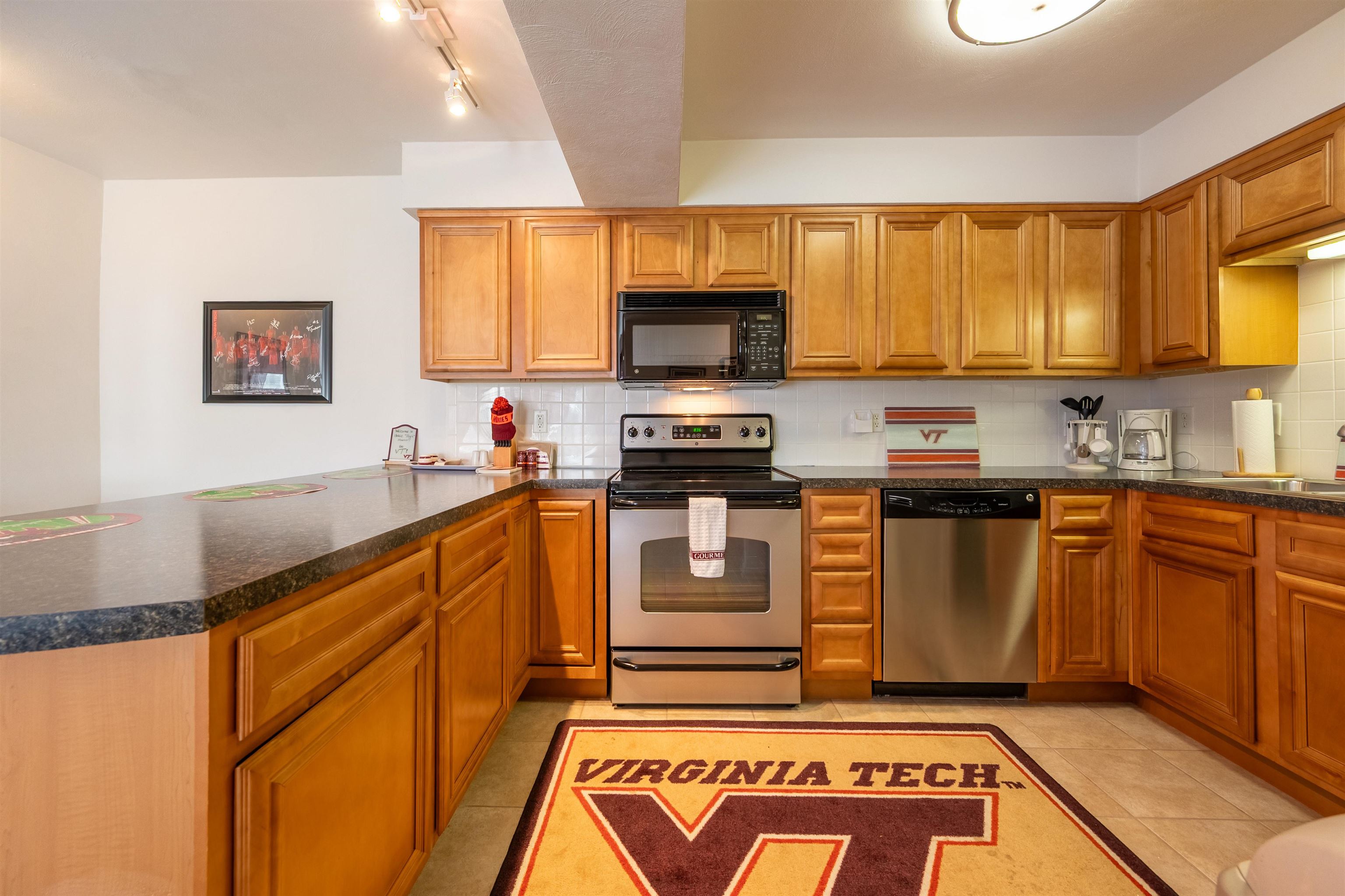 1790 Liberty Lane Blacksburg VA 24060