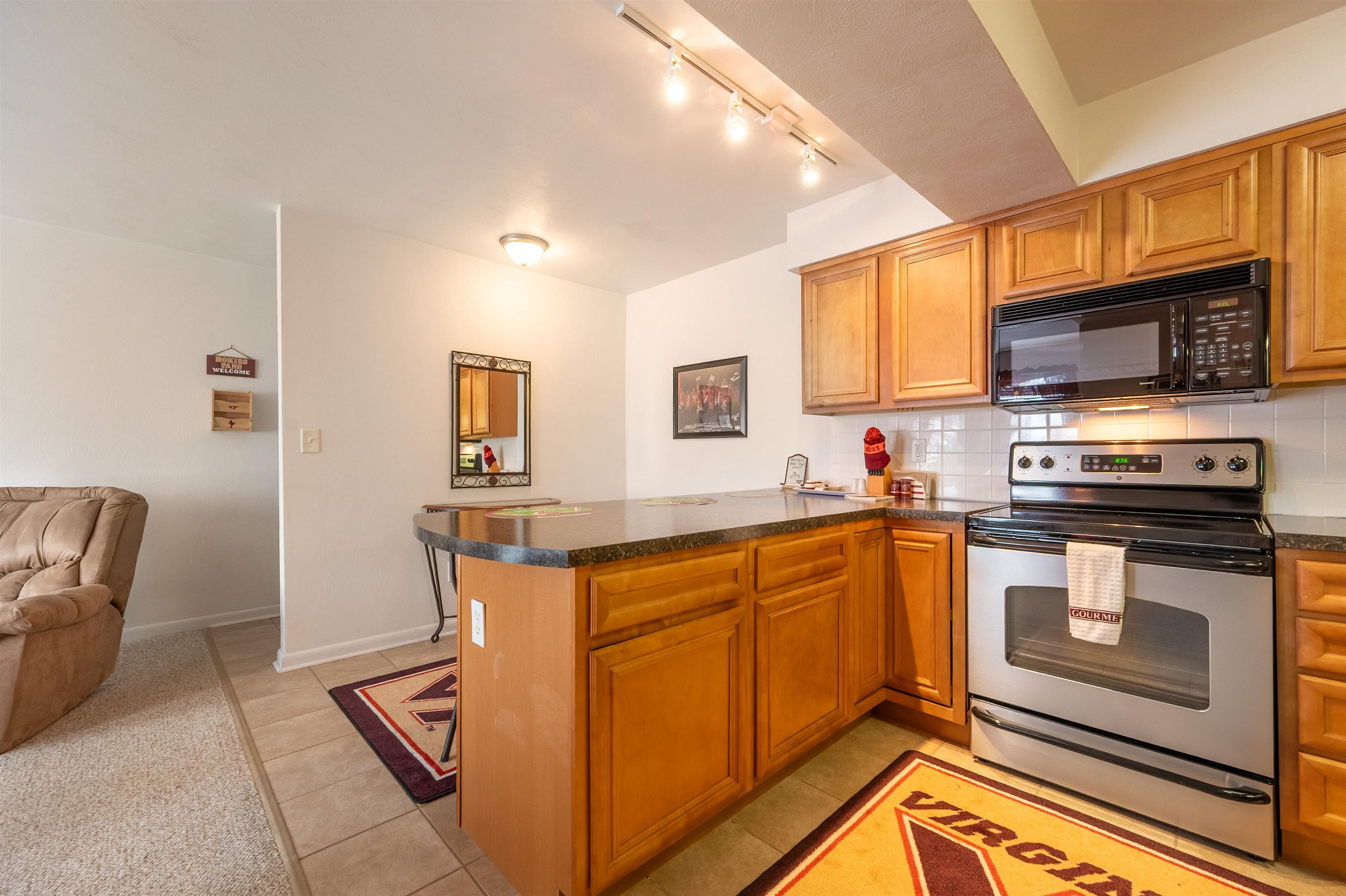 1790 Liberty Lane Blacksburg VA 24060
