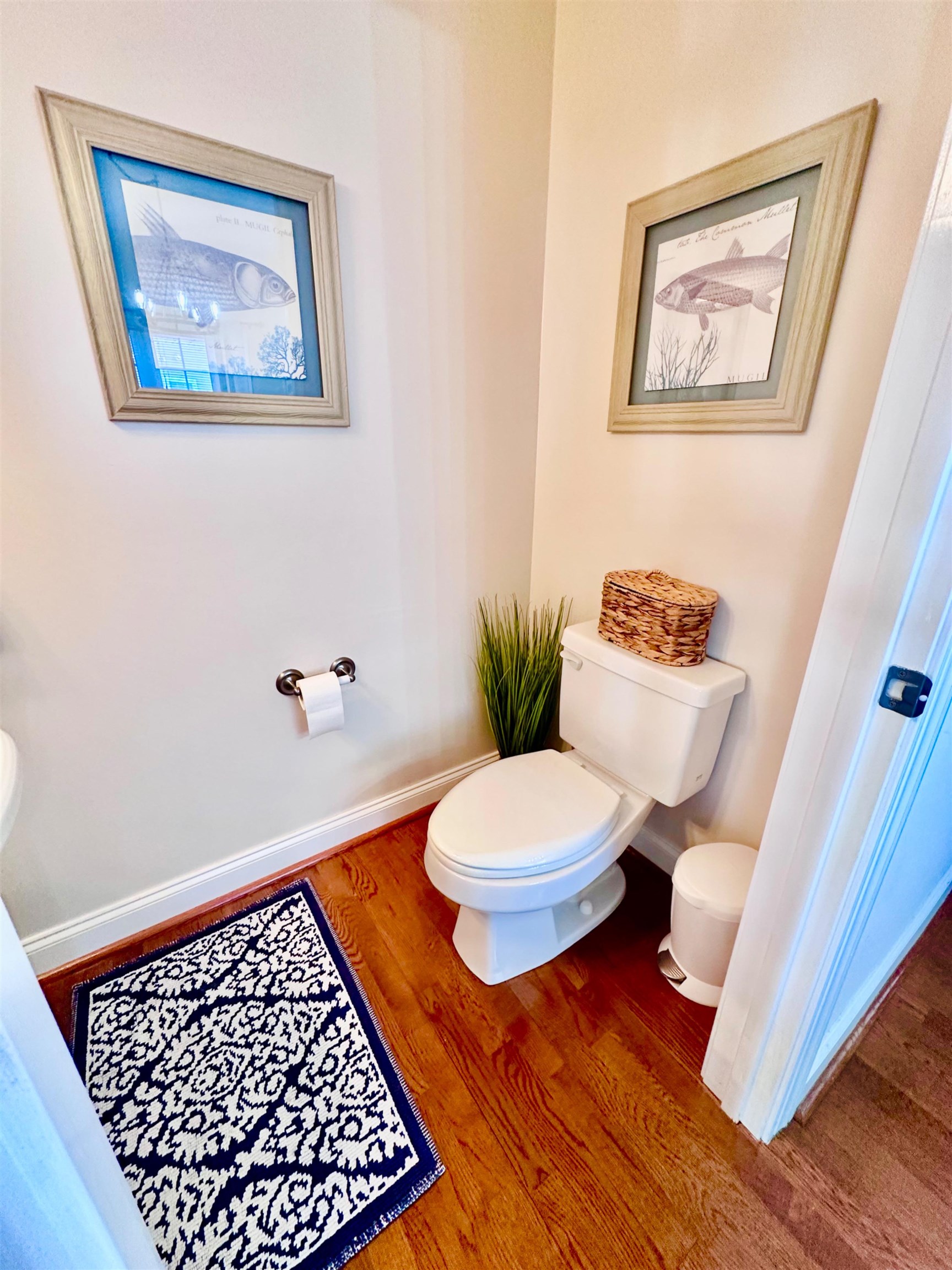 241 Sheliah Court Blacksburg VA 24060