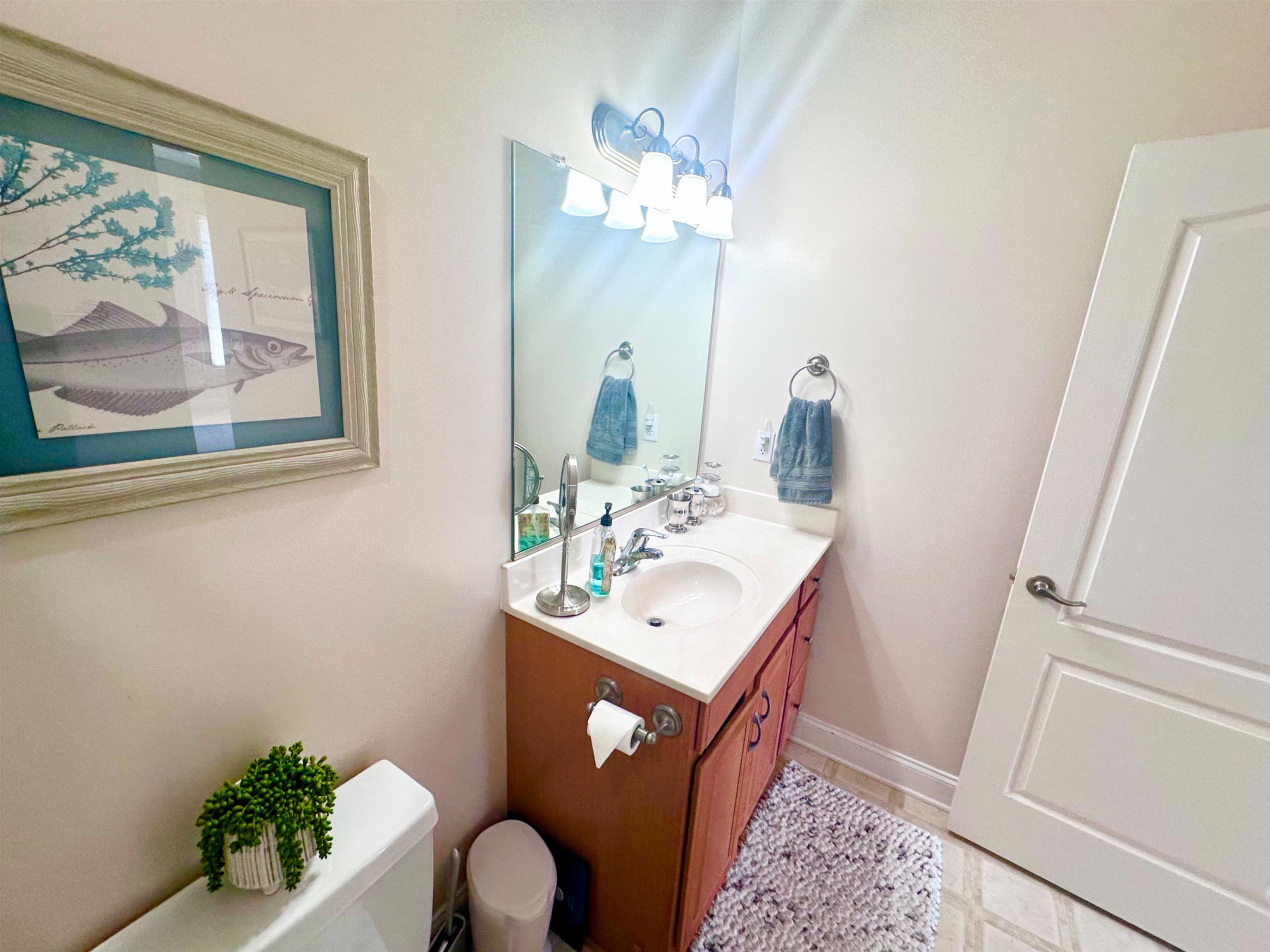 241 Sheliah Court Blacksburg VA 24060