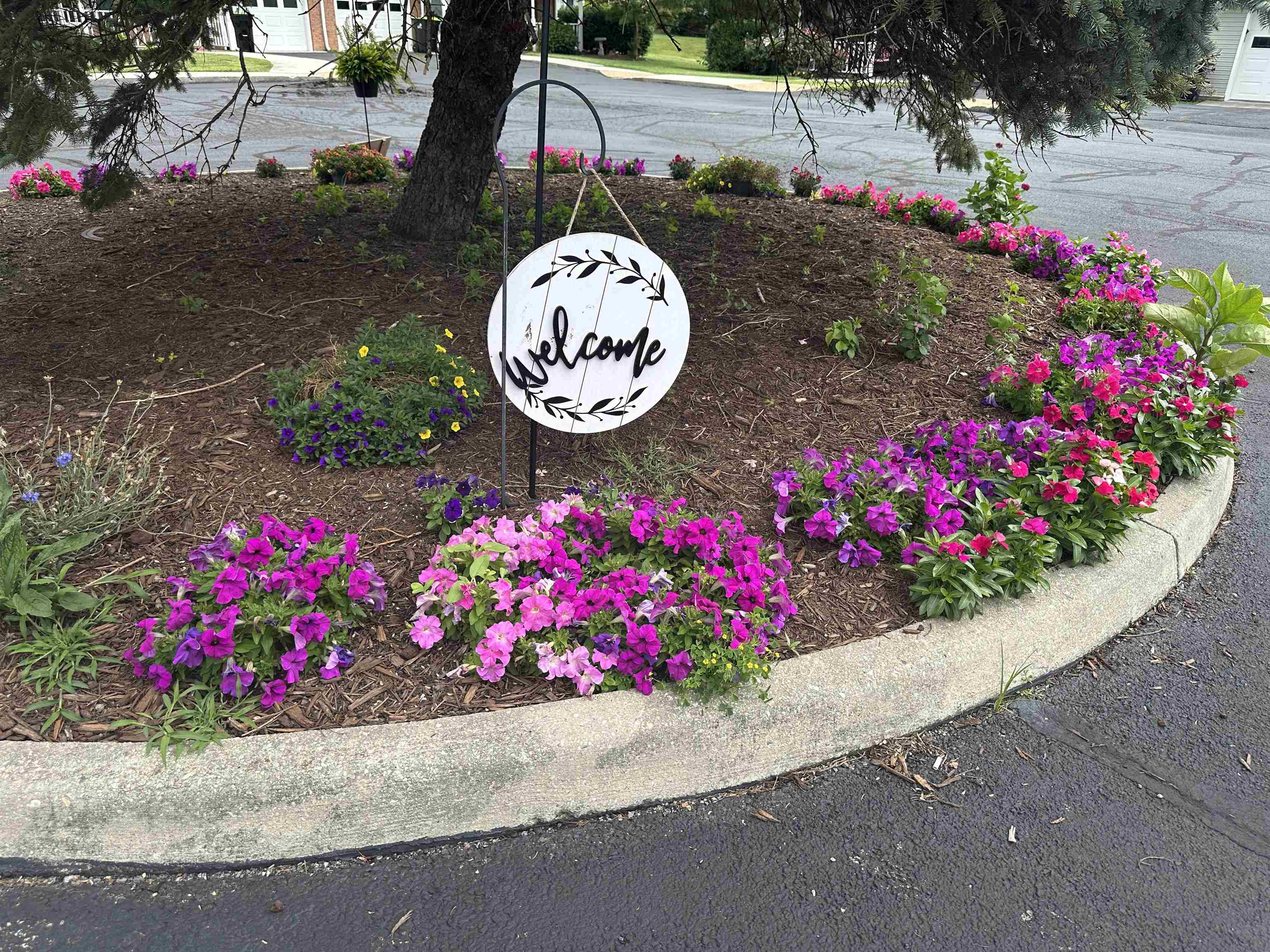 228 Wheatland Court Christiansburg VA 24073