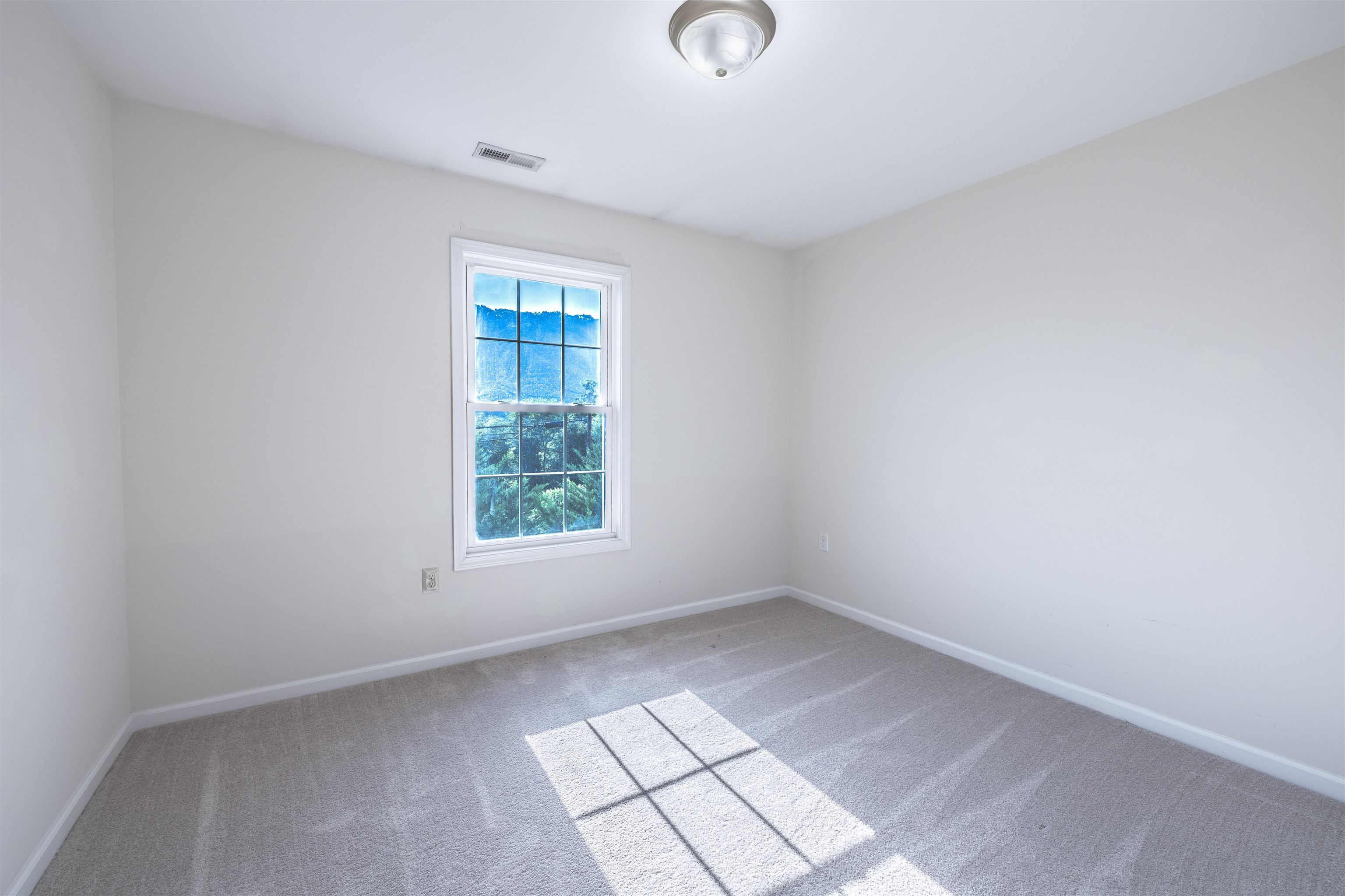 281 Louise Lane Elliston VA 24087