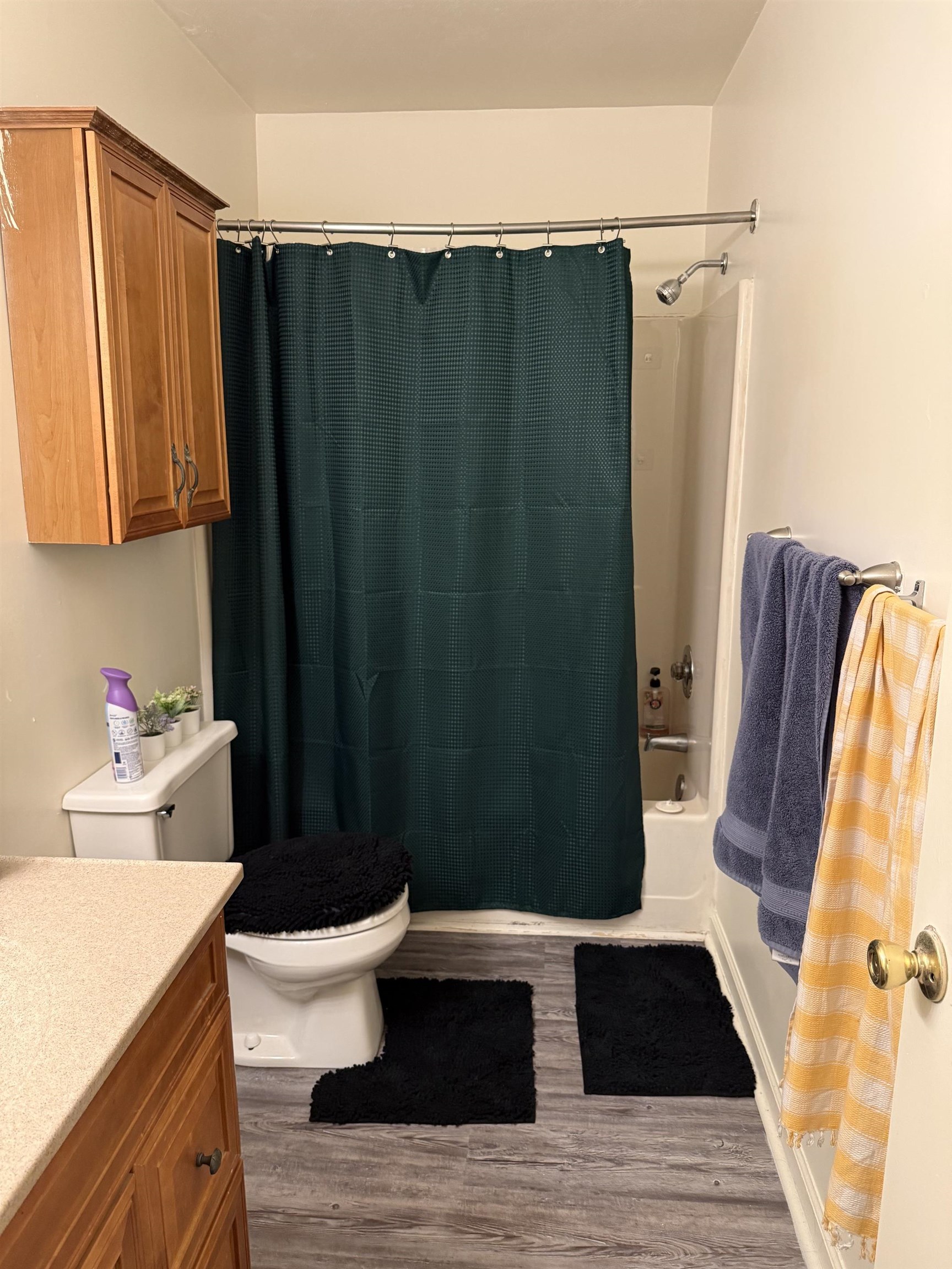 206 Pheasant Run Drive Blacksburg VA 24060