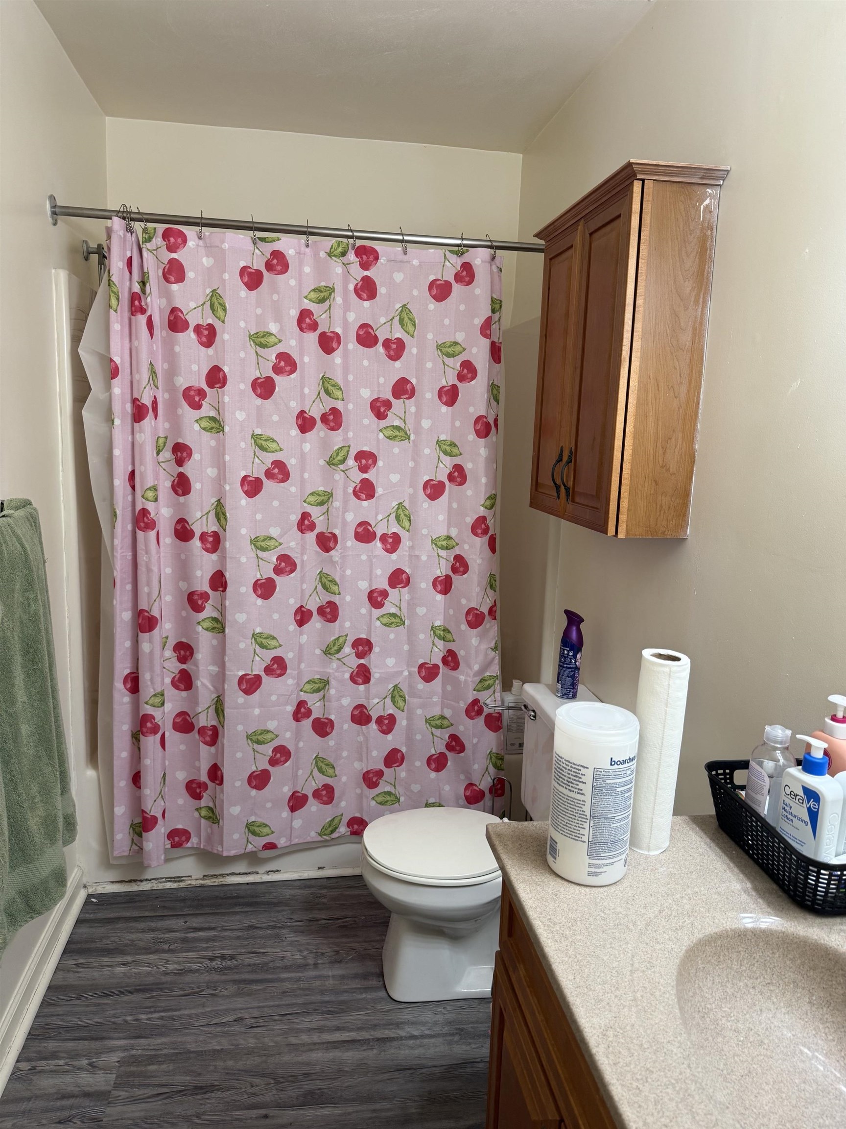 206 Pheasant Run Drive Blacksburg VA 24060