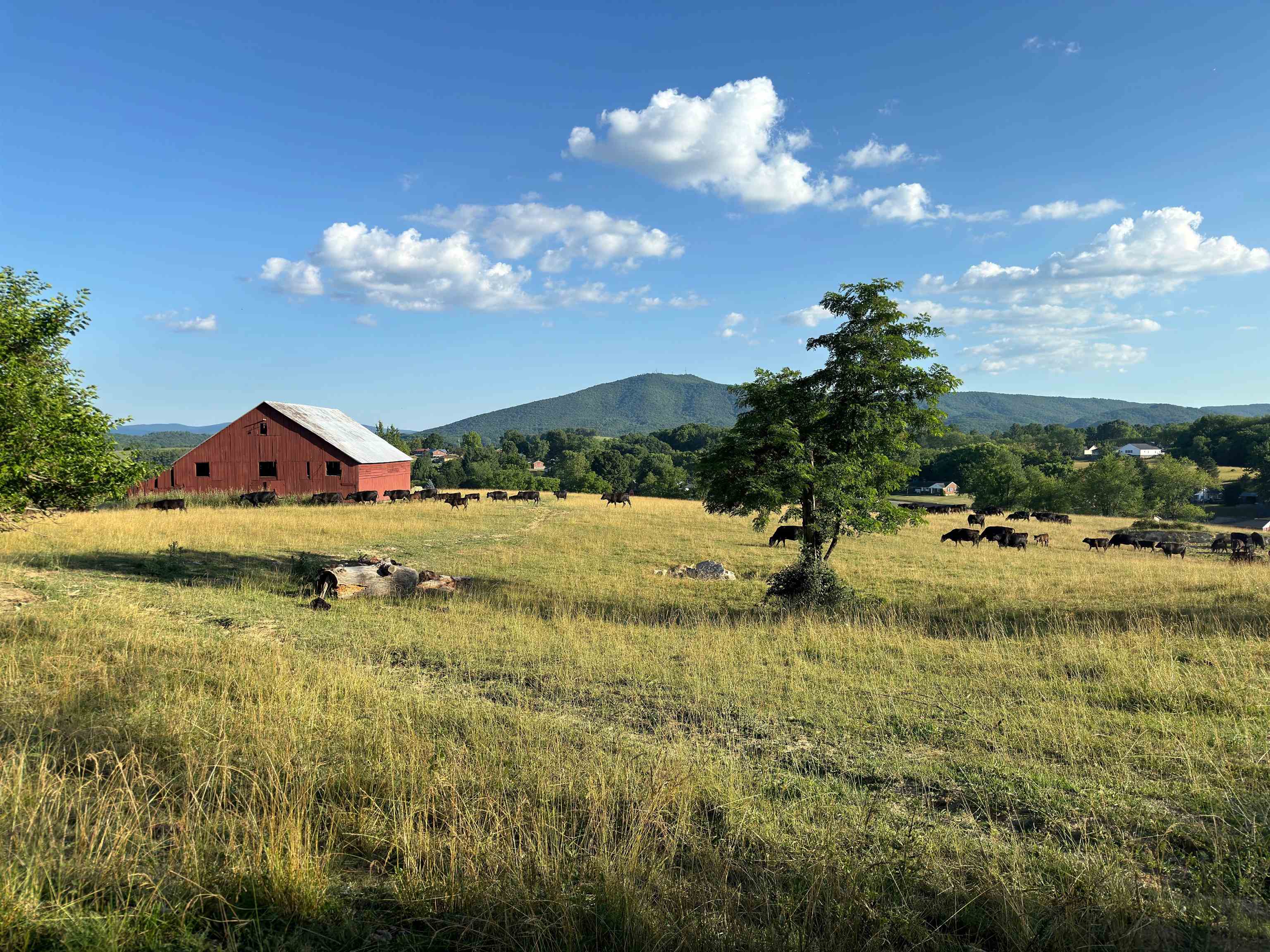 2120 Peppers Ferry Road Pulaski VA 24301