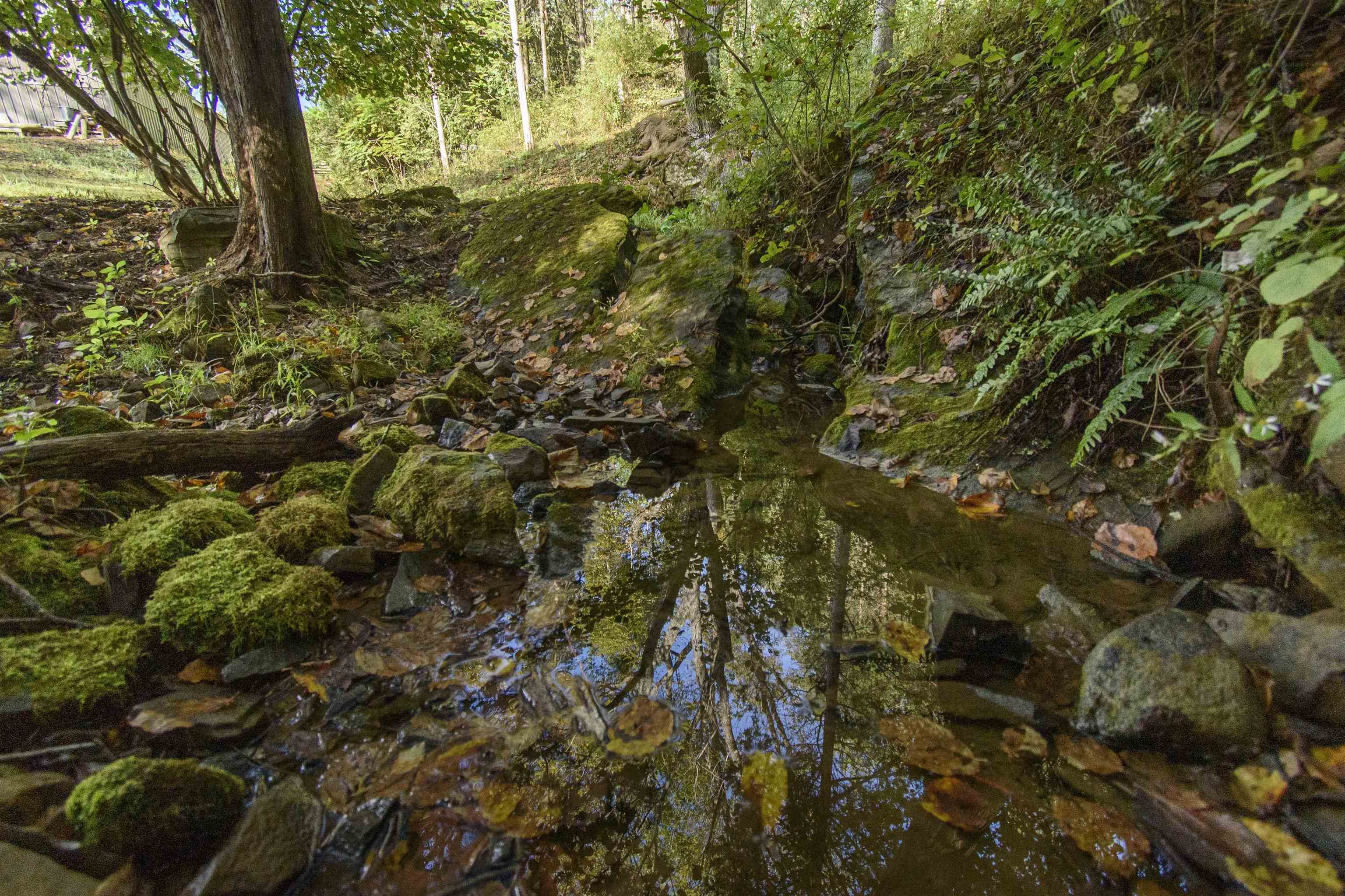 5600 Mount Tabor Road Catawba VA 24070