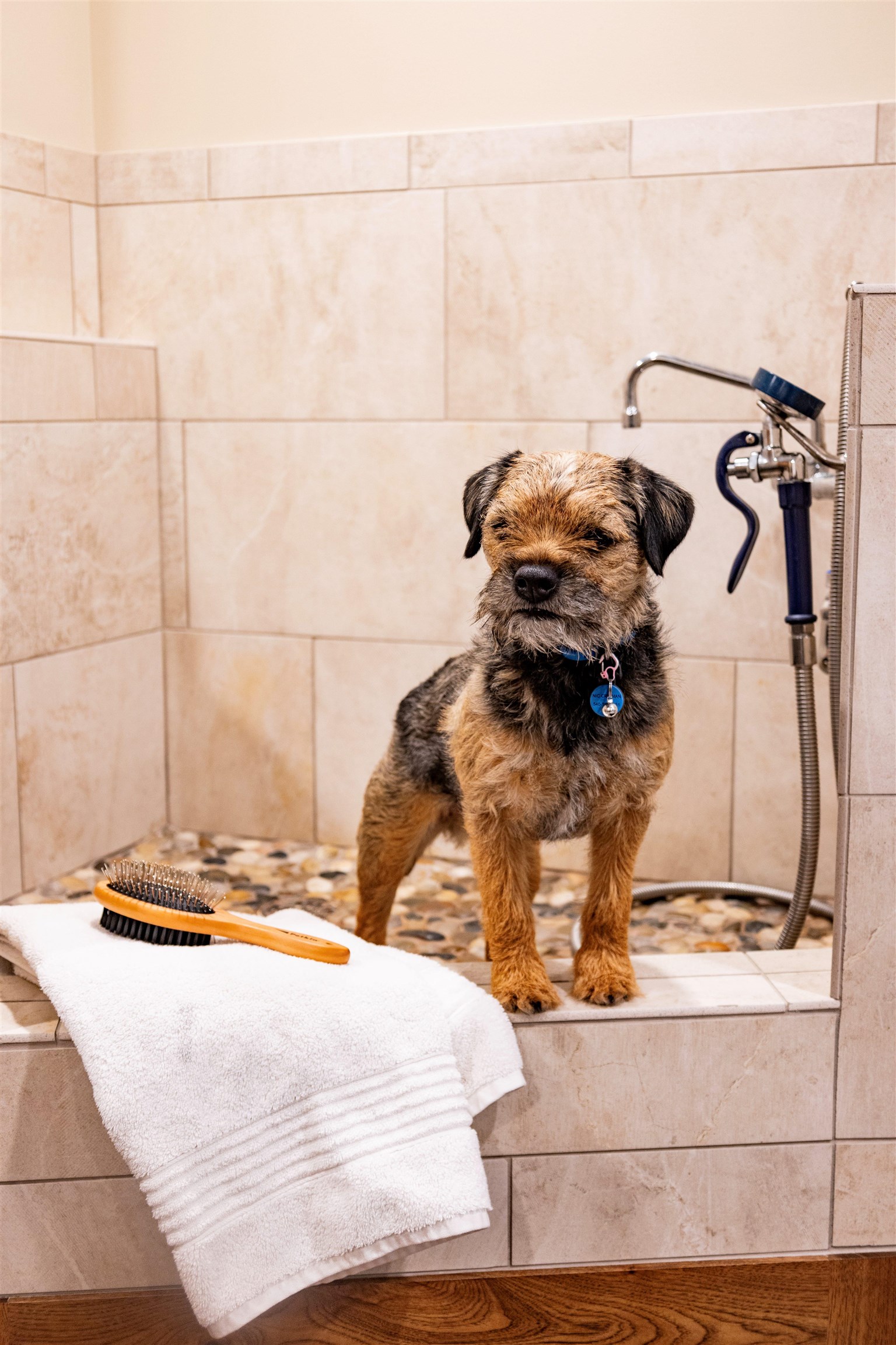 5600 Mount Tabor Road Catawba VA 24070