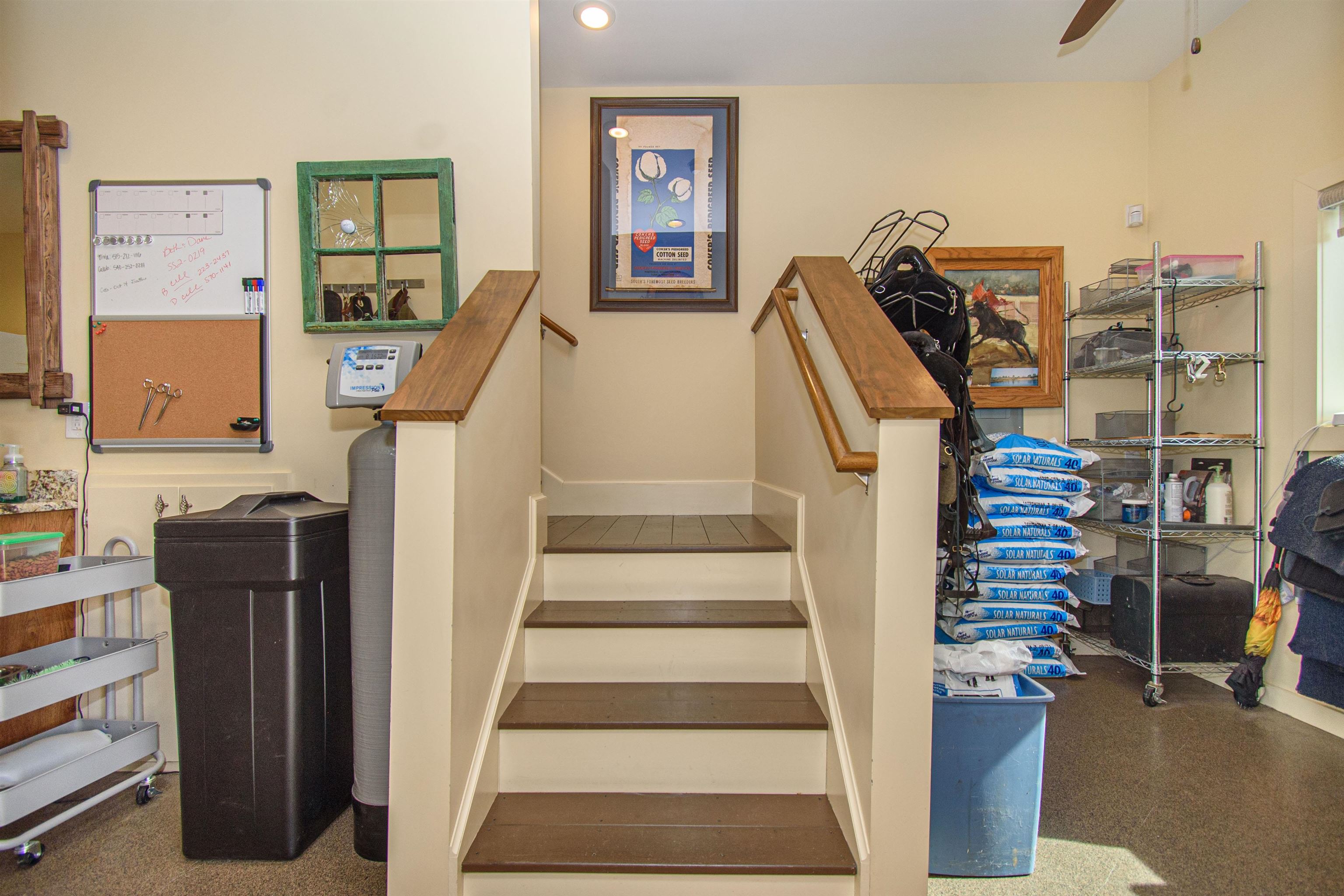 5600 Mount Tabor Road Catawba VA 24070