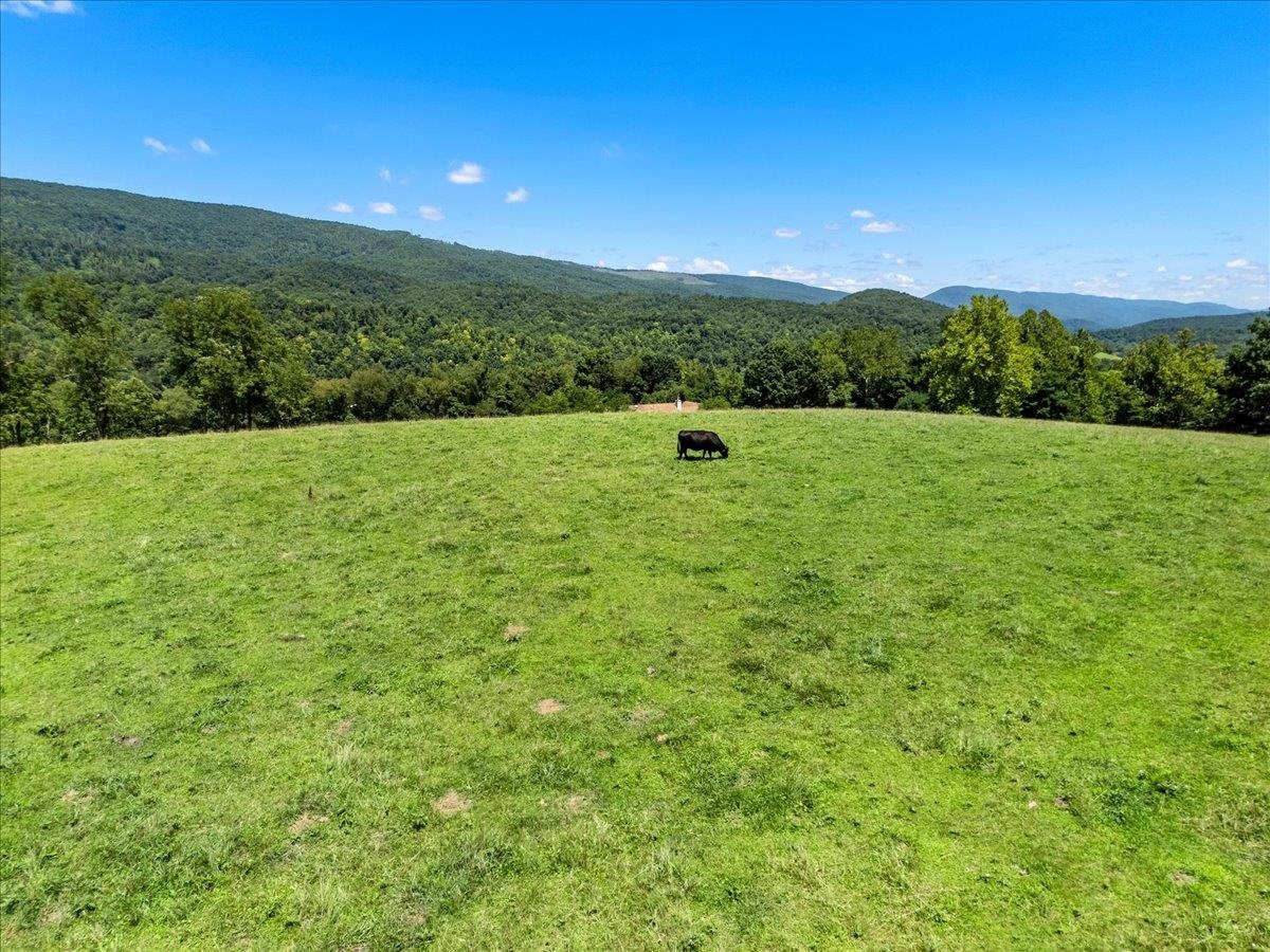 398 Penvir Road Narrows VA 24124