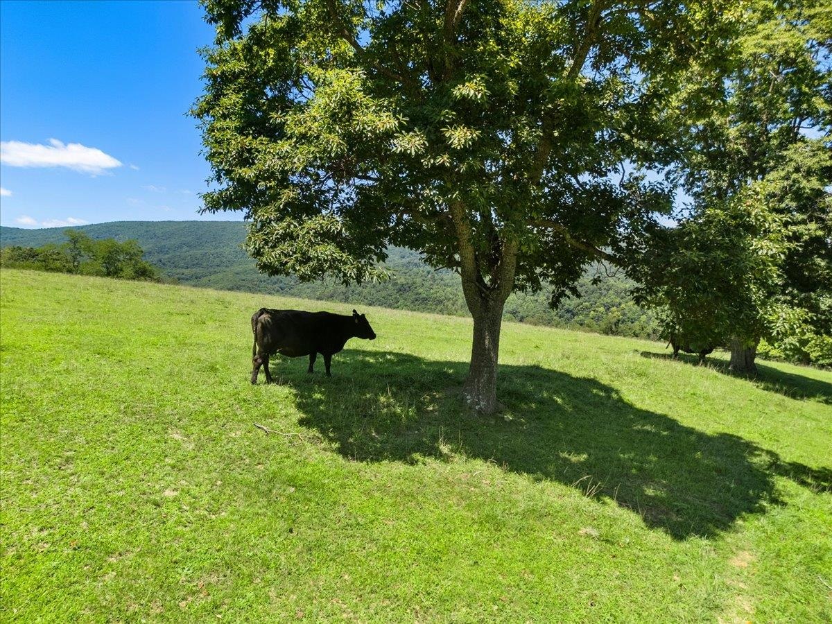 398 Penvir Road Narrows VA 24124