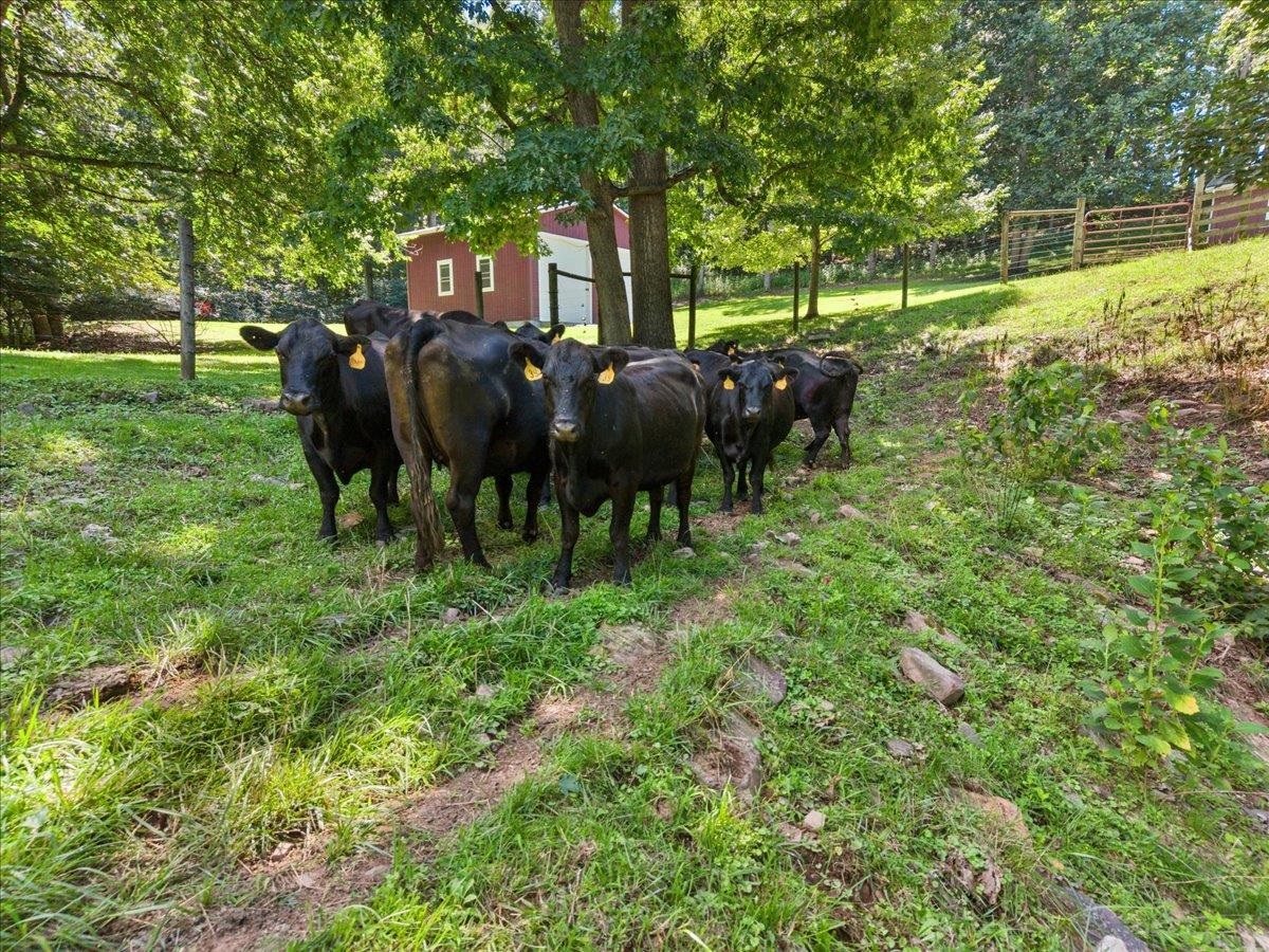 398 Penvir Road Narrows VA 24124