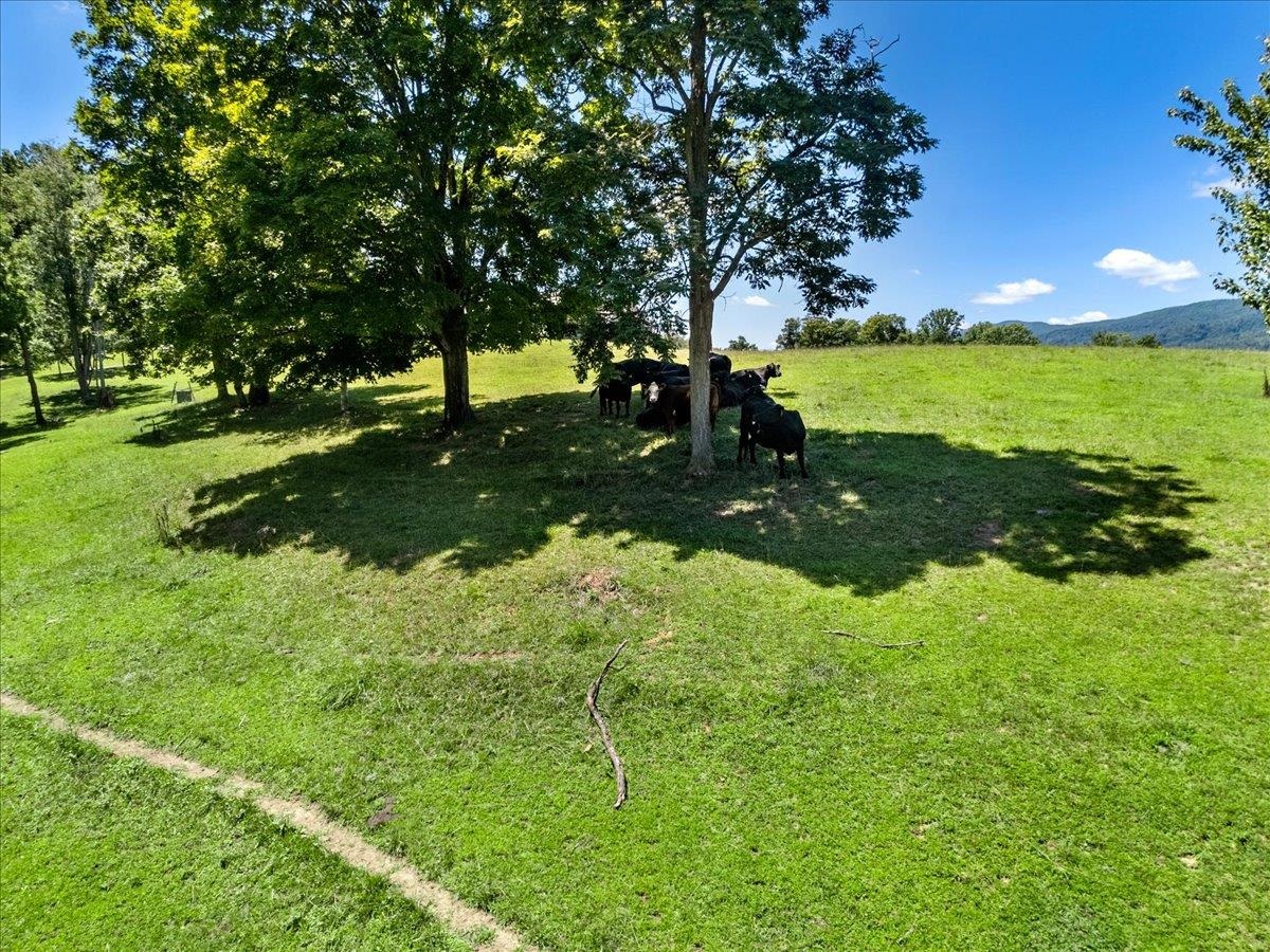 398 Penvir Road Narrows VA 24124