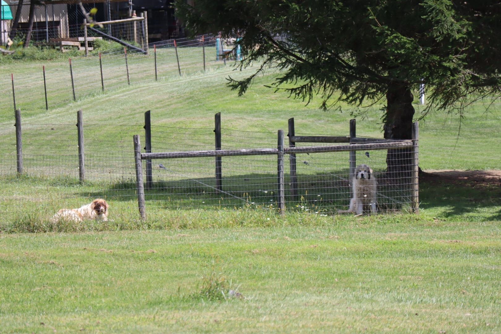 1247 Cannady School Road SE Floyd VA 24091