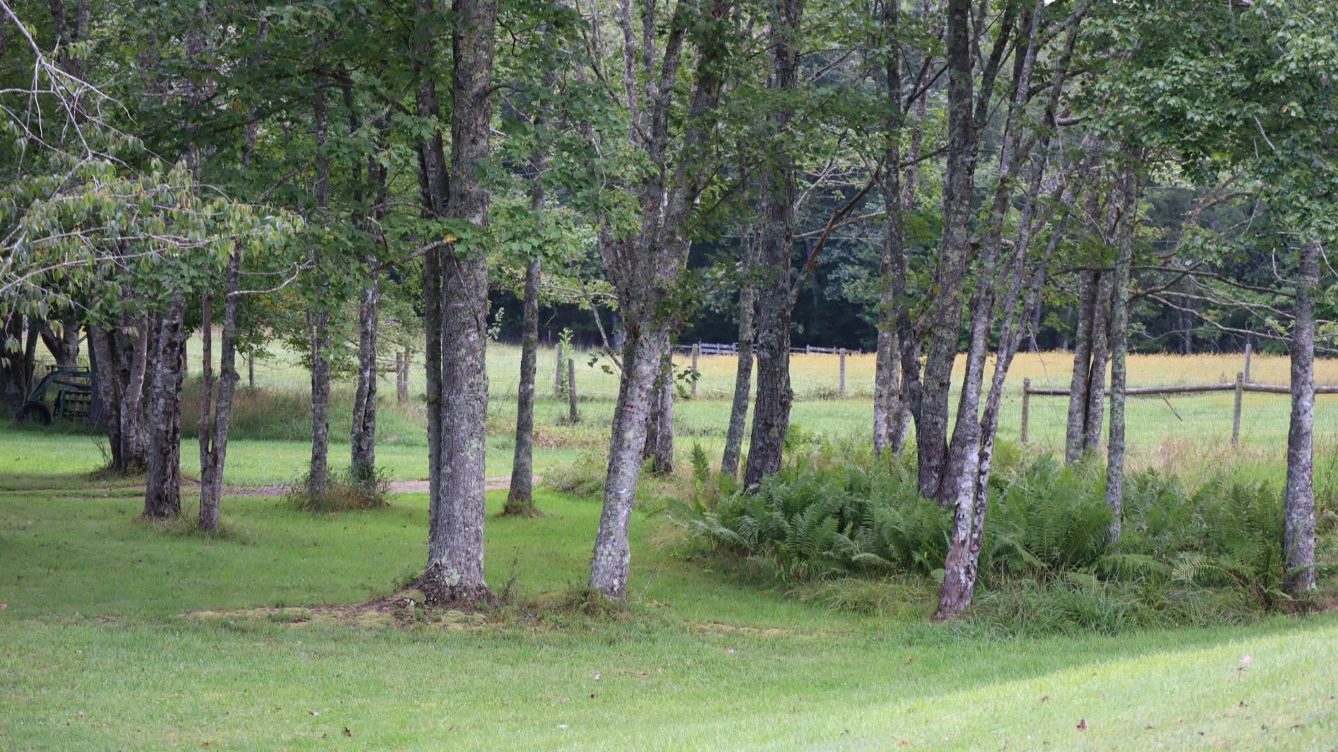 1247 Cannady School Road SE Floyd VA 24091