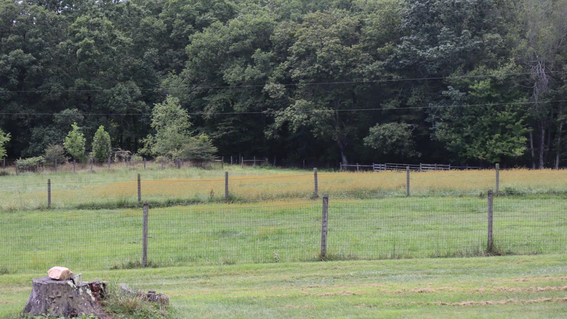 1247 Cannady School Road SE Floyd VA 24091