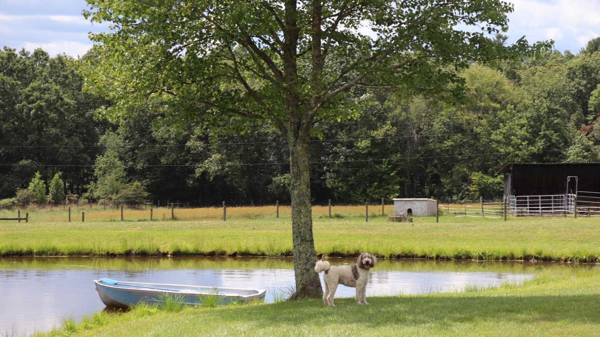 1247 Cannady School Road SE Floyd VA 24091