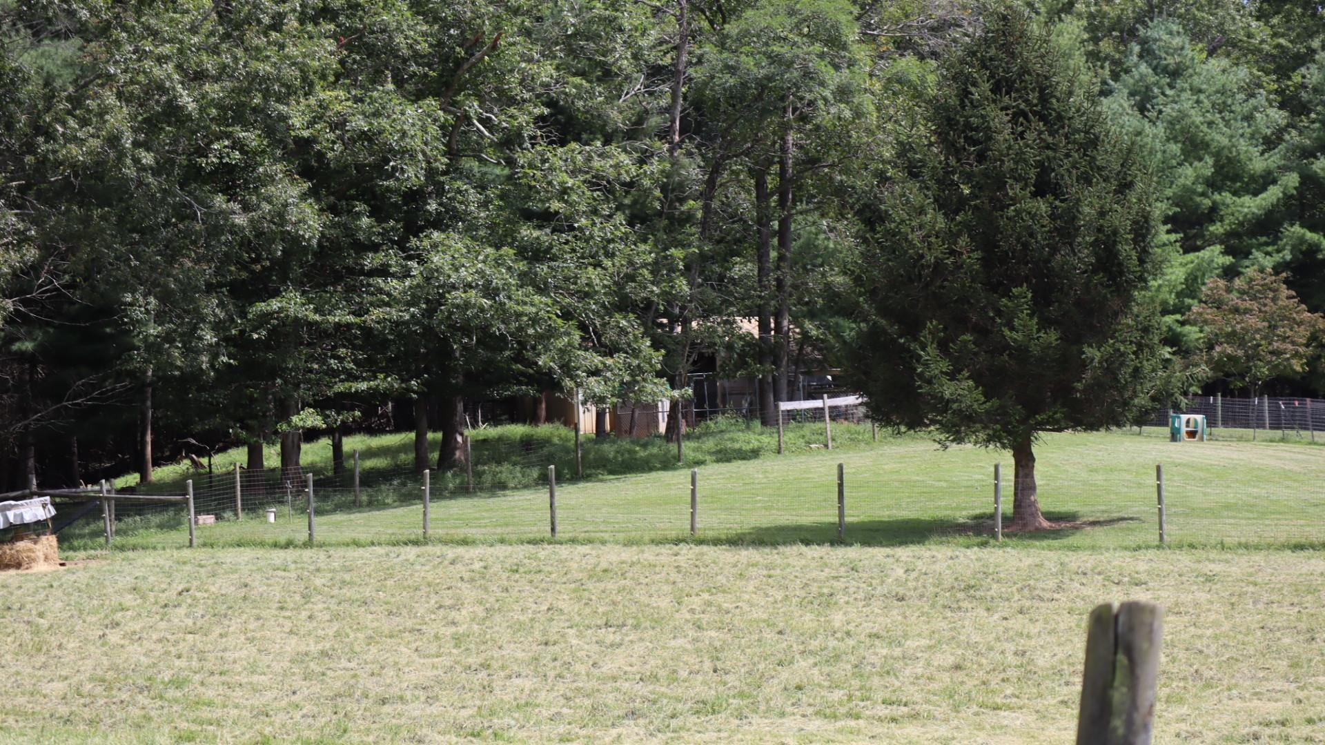 1247 Cannady School Road SE Floyd VA 24091