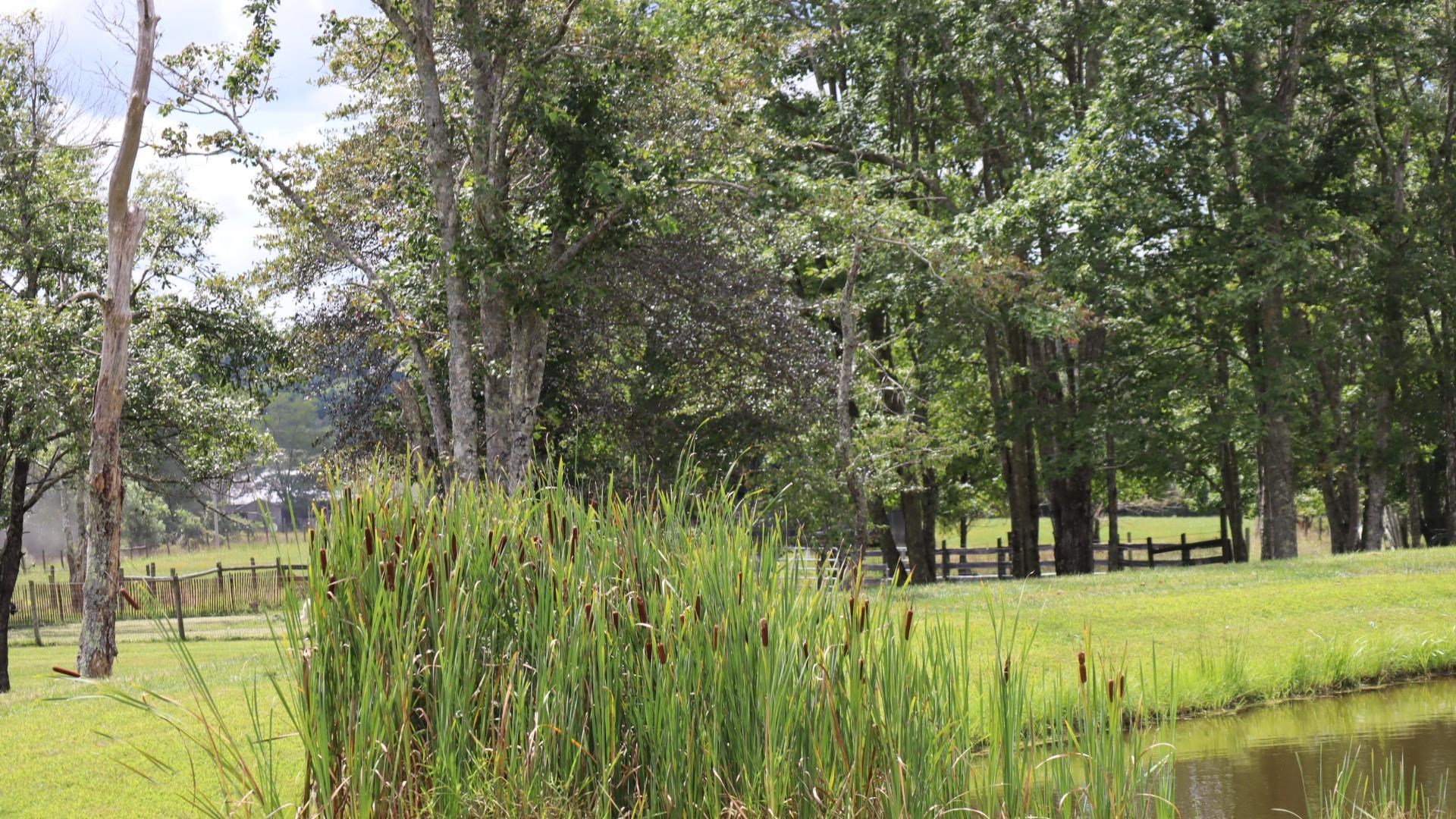 1247 Cannady School Road SE Floyd VA 24091