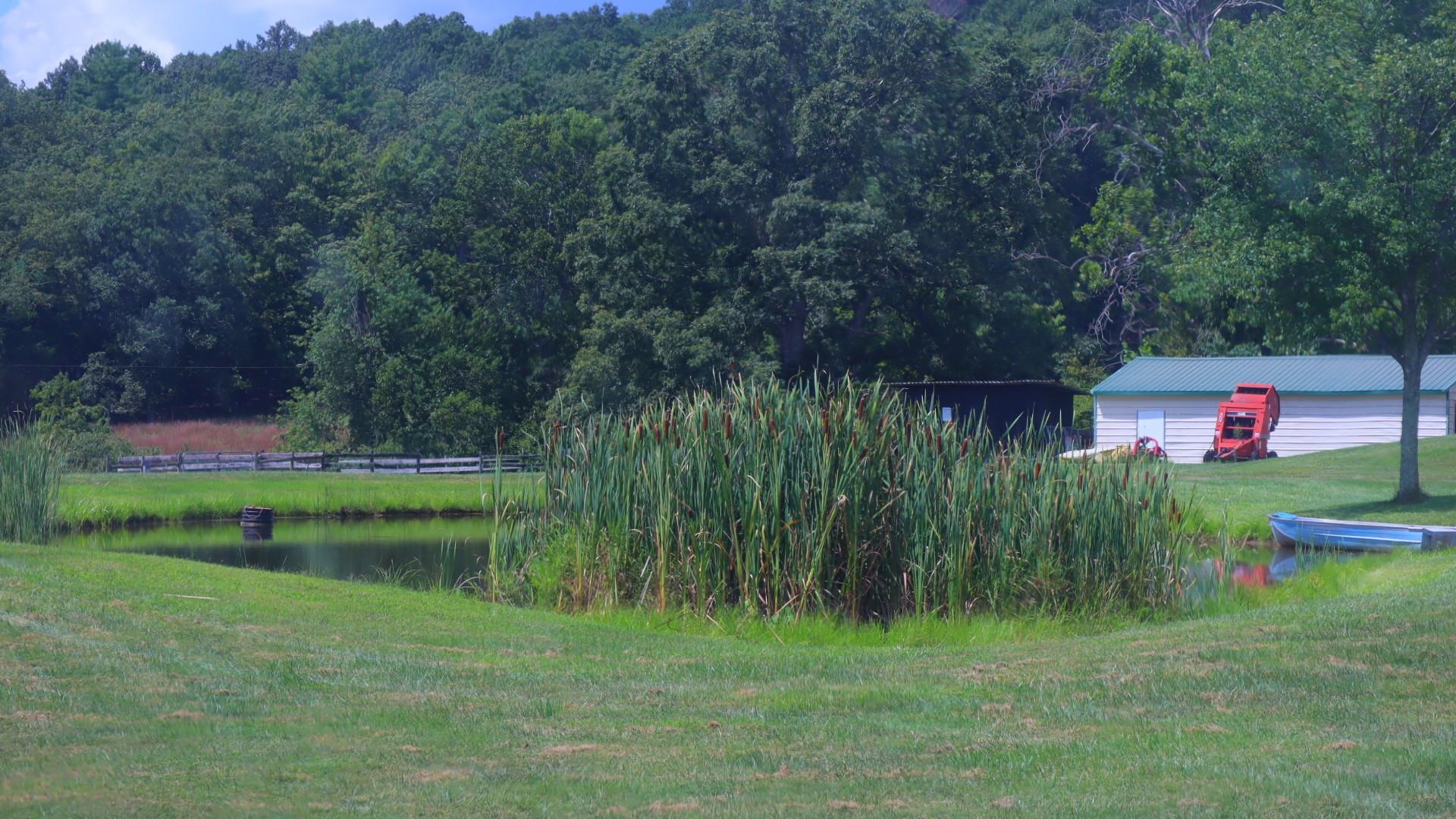 1247 Cannady School Road SE Floyd VA 24091