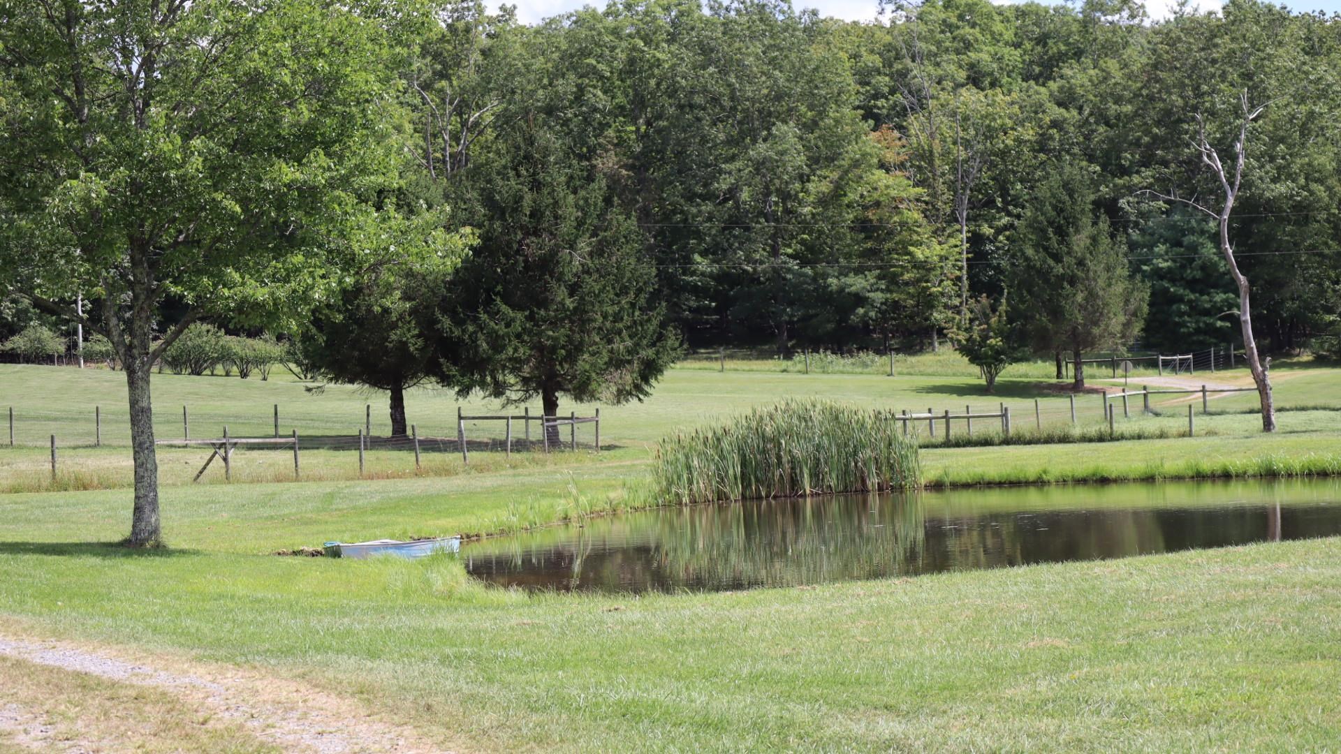 1247 Cannady School Road SE Floyd VA 24091