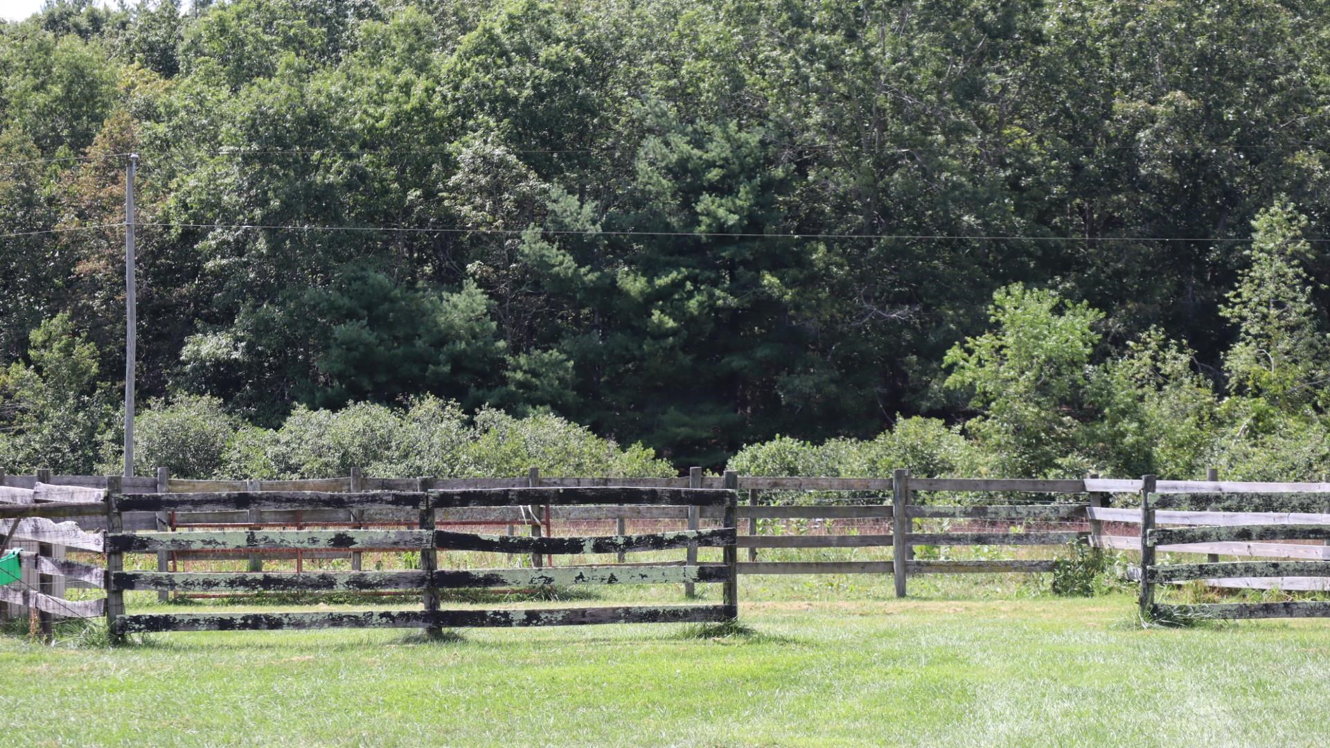 1247 Cannady School Road SE Floyd VA 24091