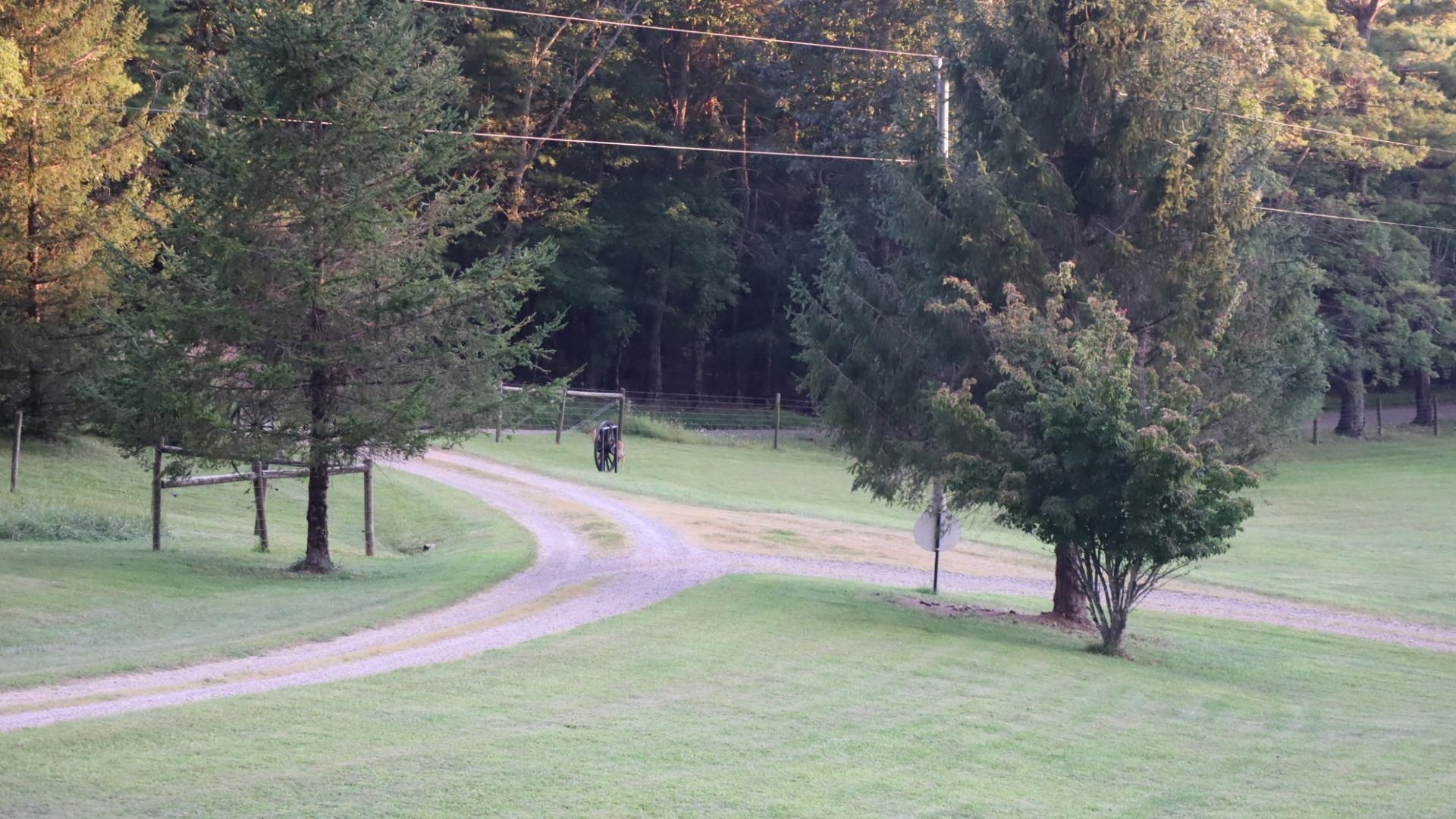 1247 Cannady School Road SE Floyd VA 24091