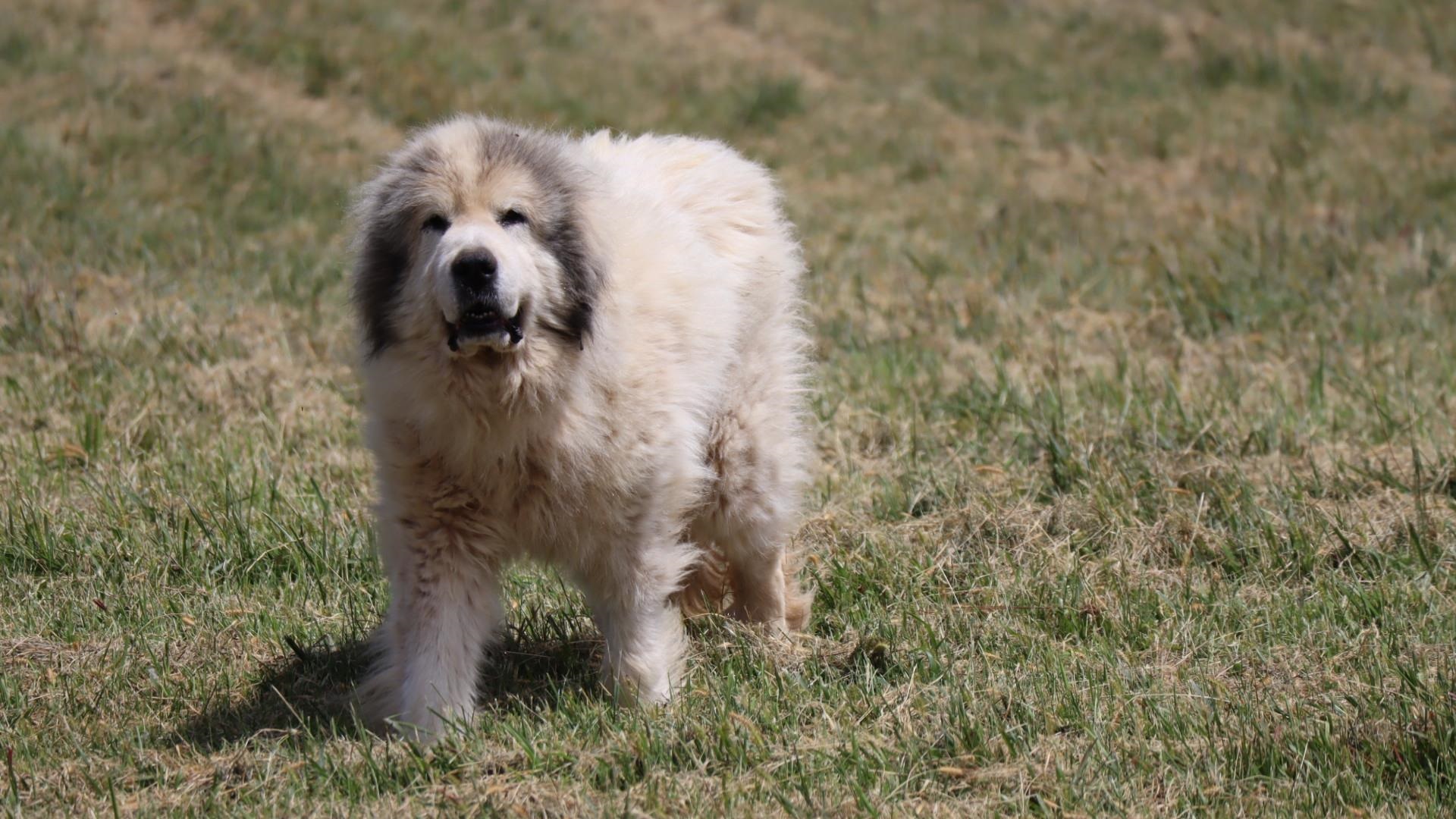 1247 Cannady School Road SE Floyd VA 24091