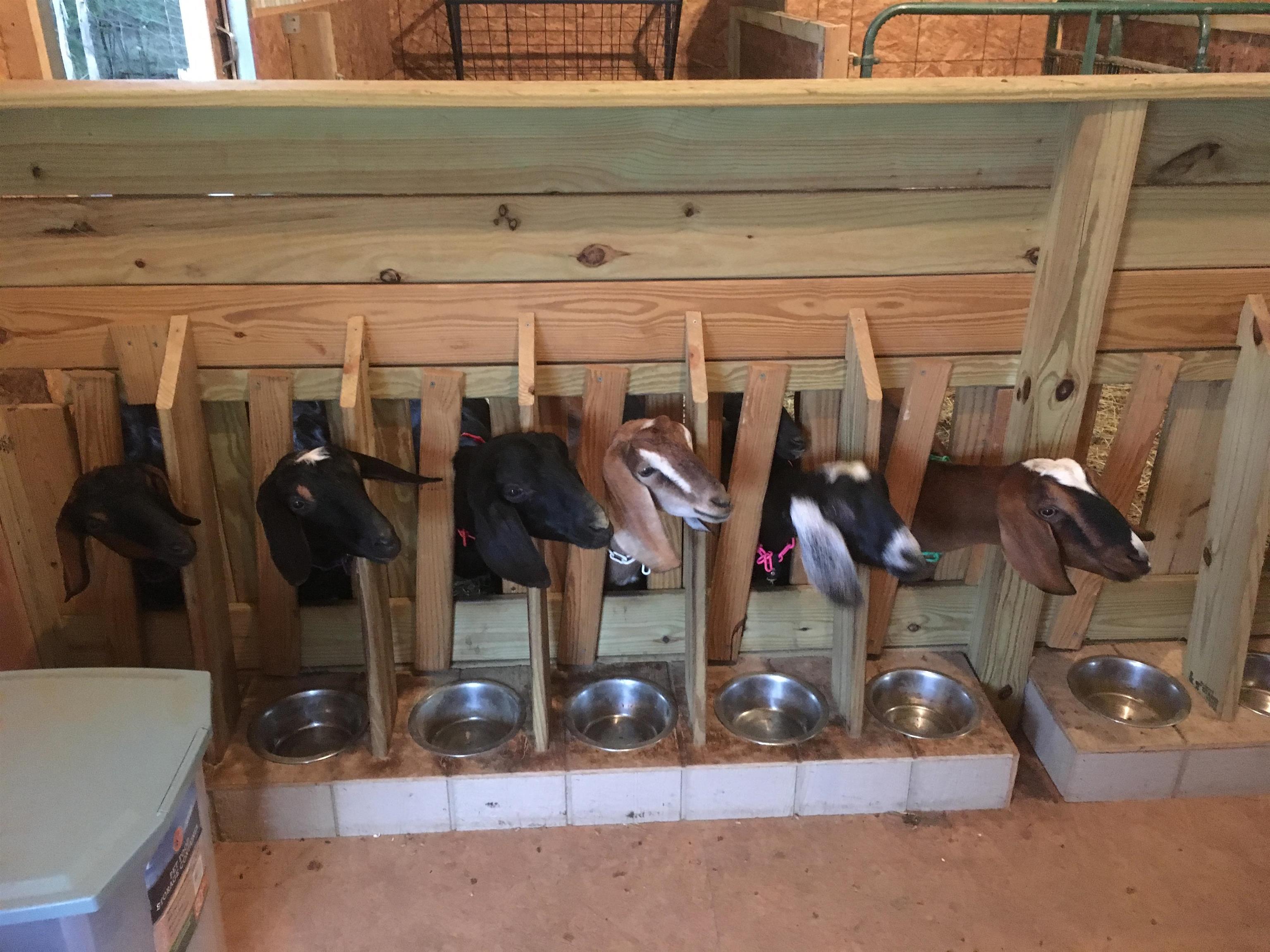 1247 Cannady School Road SE Floyd VA 24091