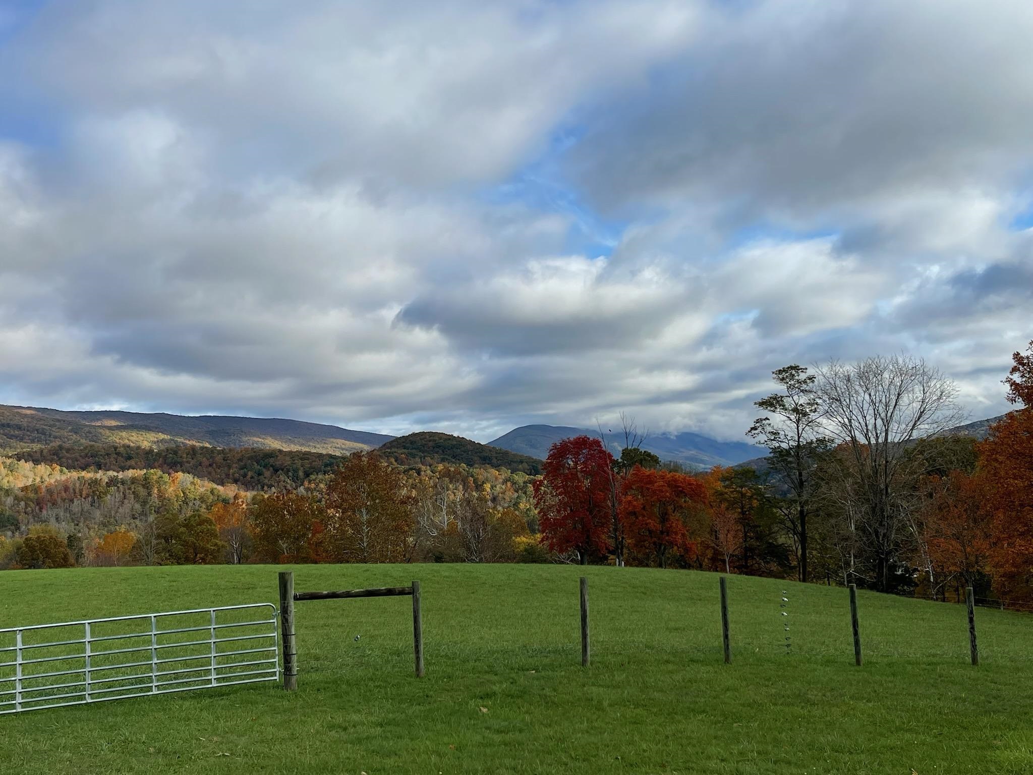 398 Penvir Road Narrows VA 24124