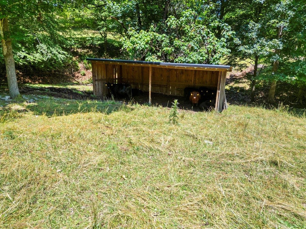 398 Penvir Road Narrows VA 24124