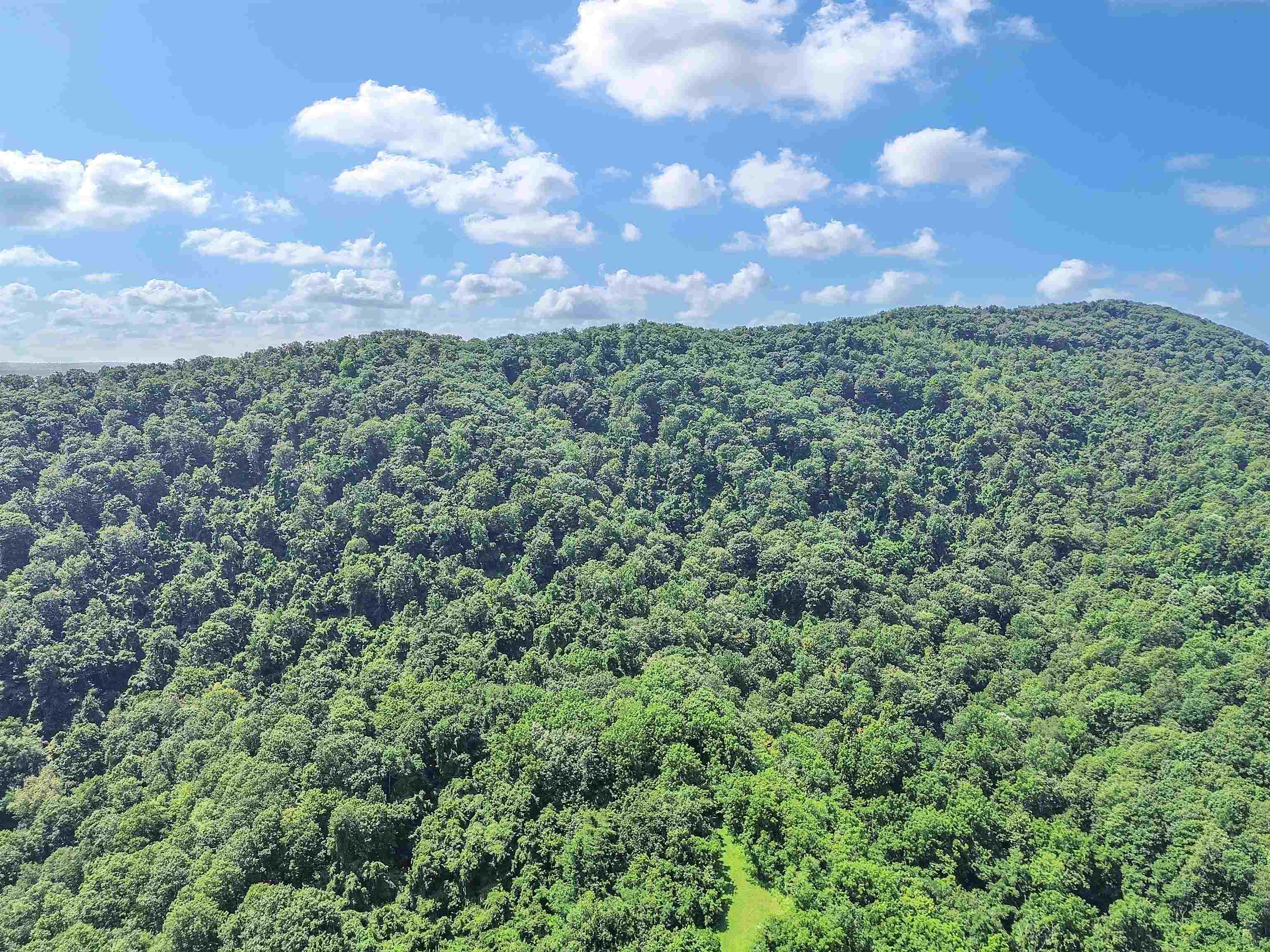 250 E Robertson Mountain Road Narrows VA 24124