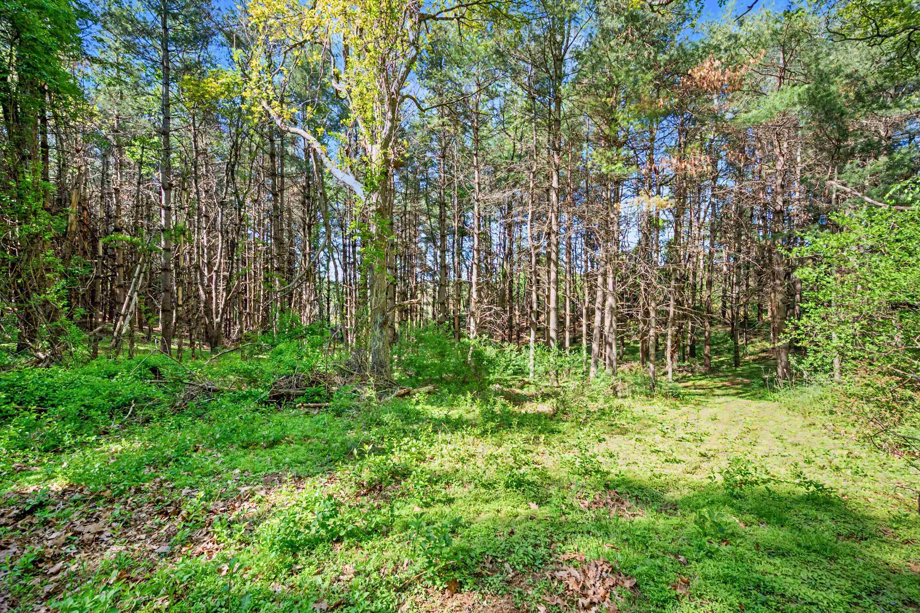 1370 Graysville Road SE Copper Hill VA 24079