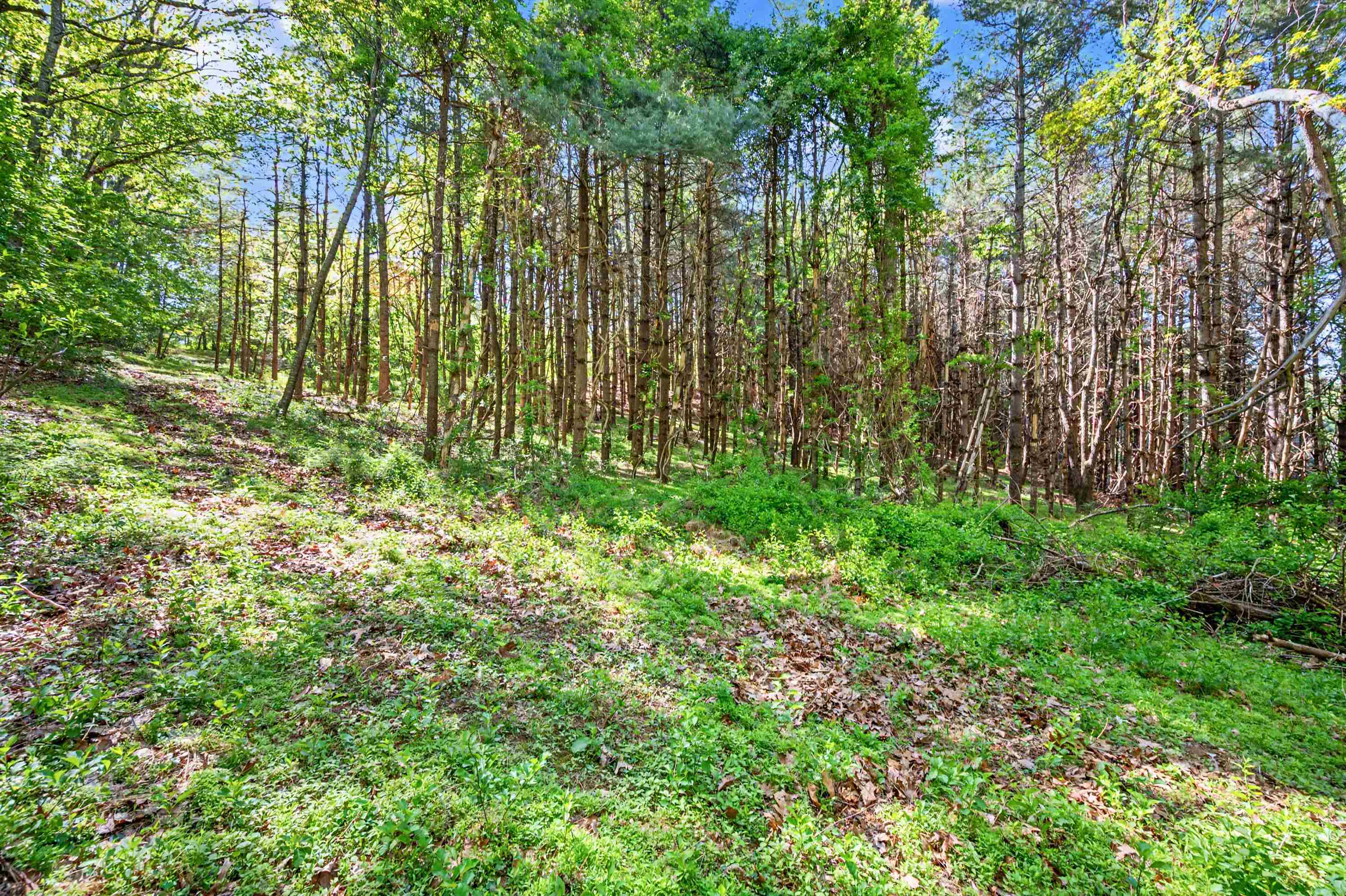1370 Graysville Road SE Copper Hill VA 24079