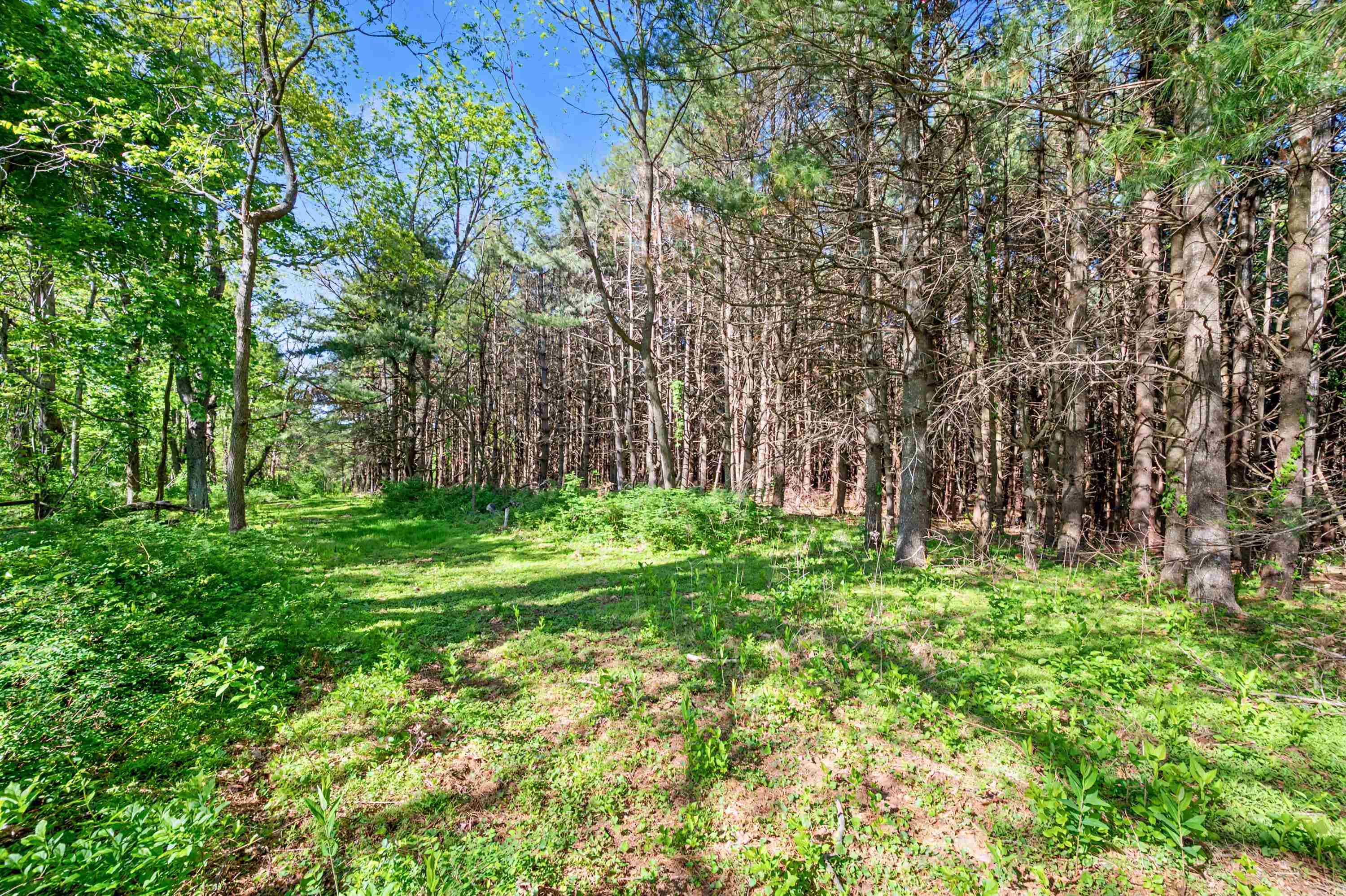 1370 Graysville Road SE Copper Hill VA 24079