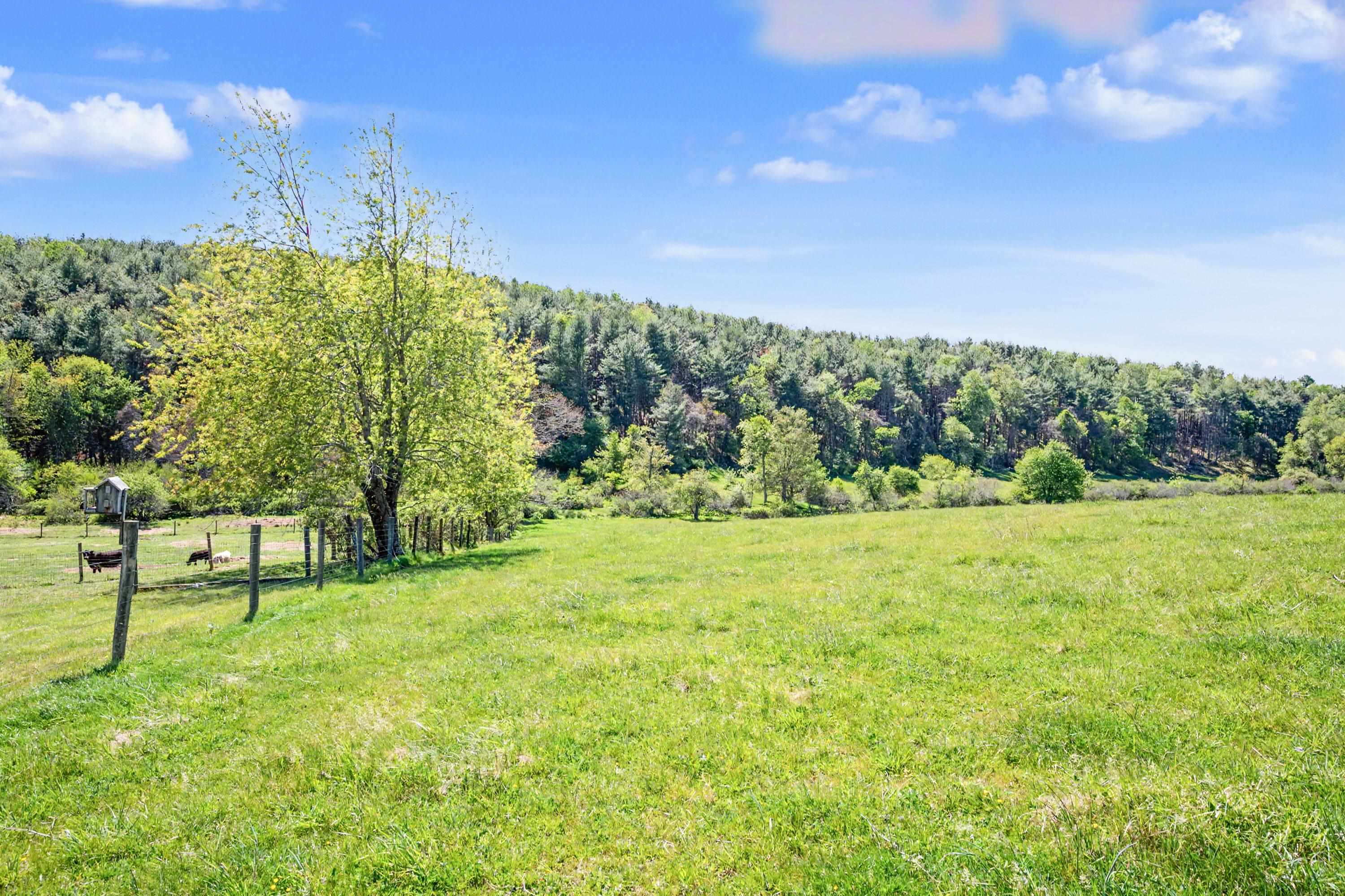 1370 Graysville Road SE Copper Hill VA 24079
