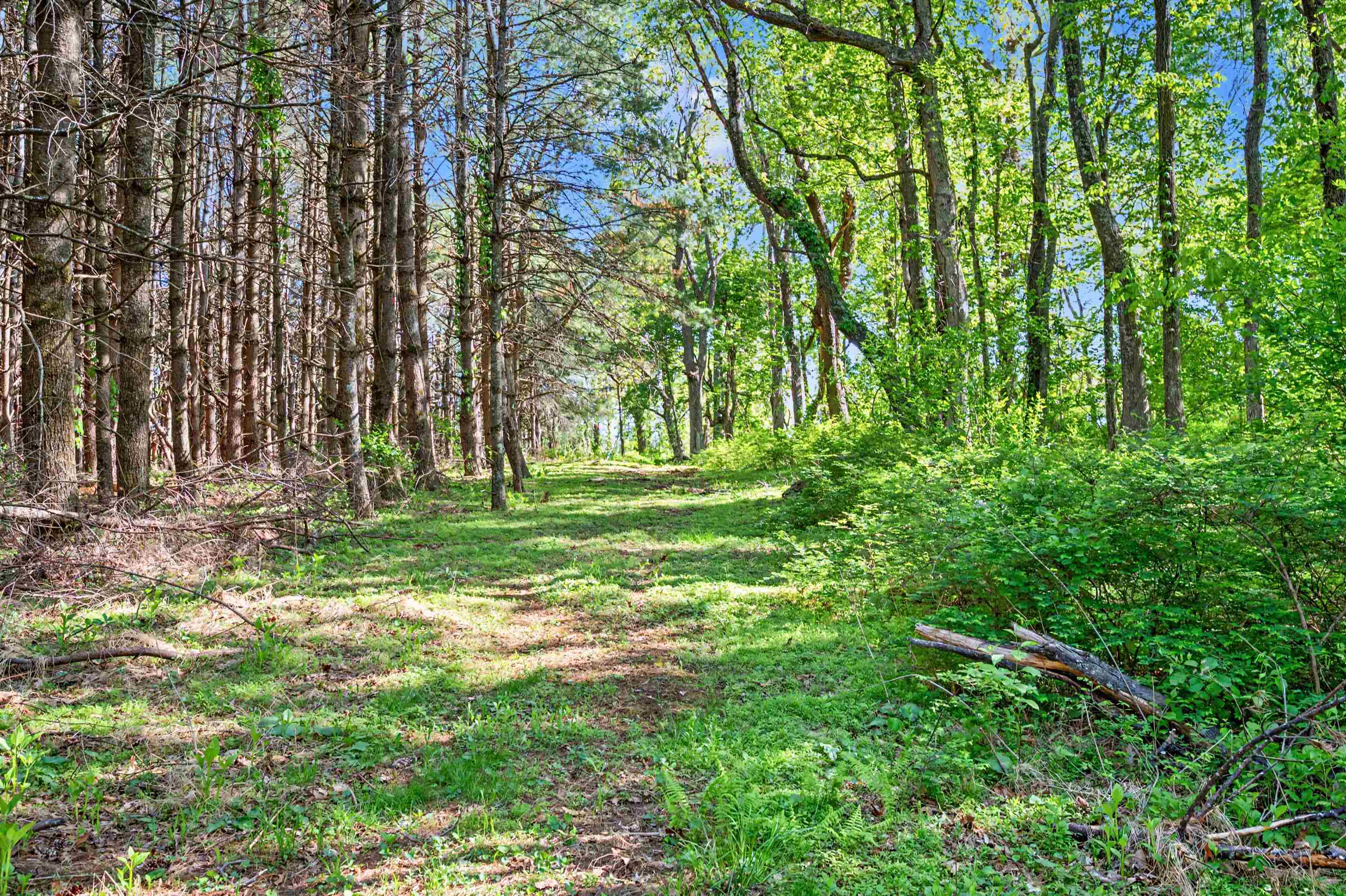 1370 Graysville Road SE Copper Hill VA 24079