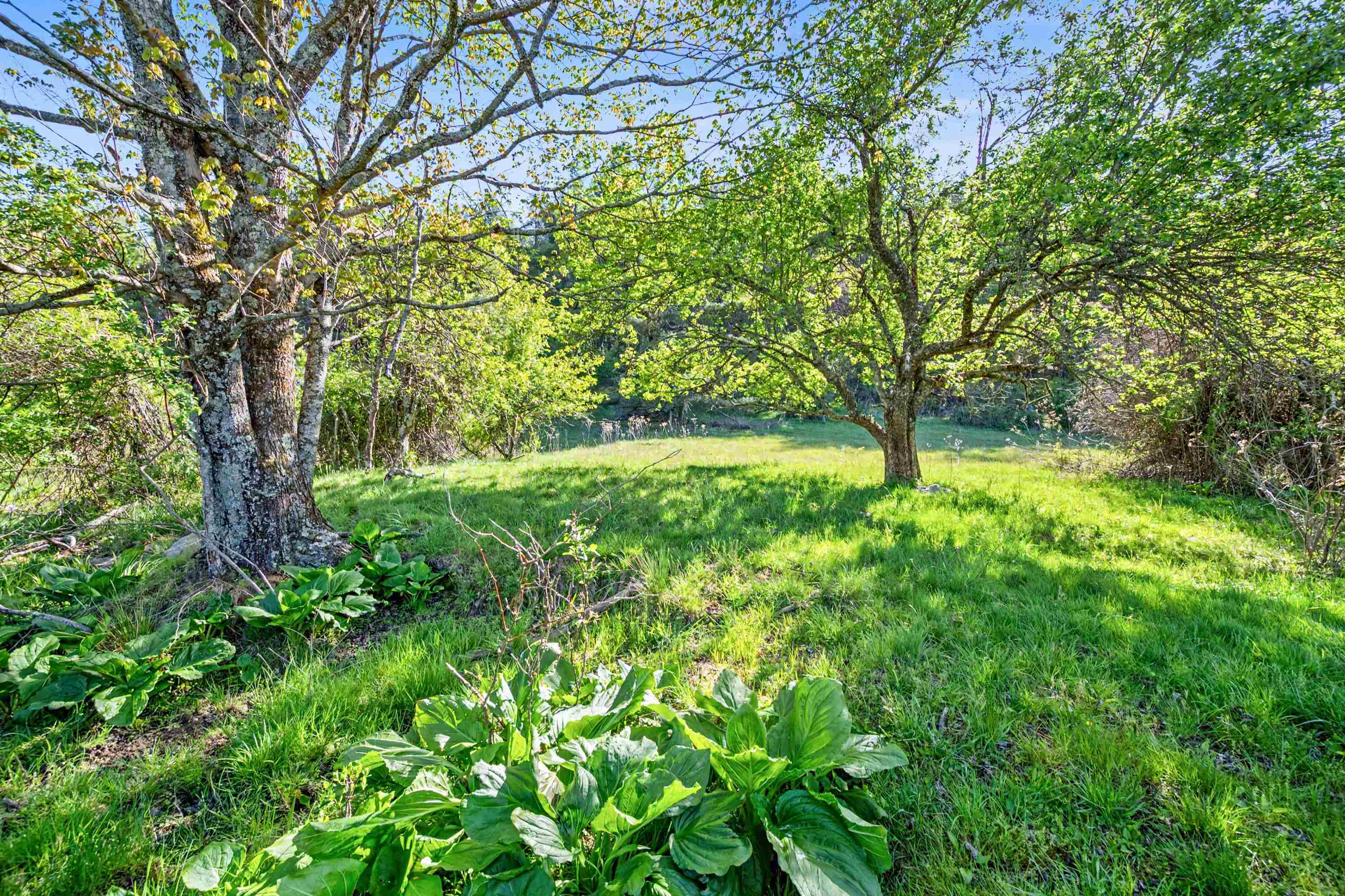 1370 Graysville Road SE Copper Hill VA 24079