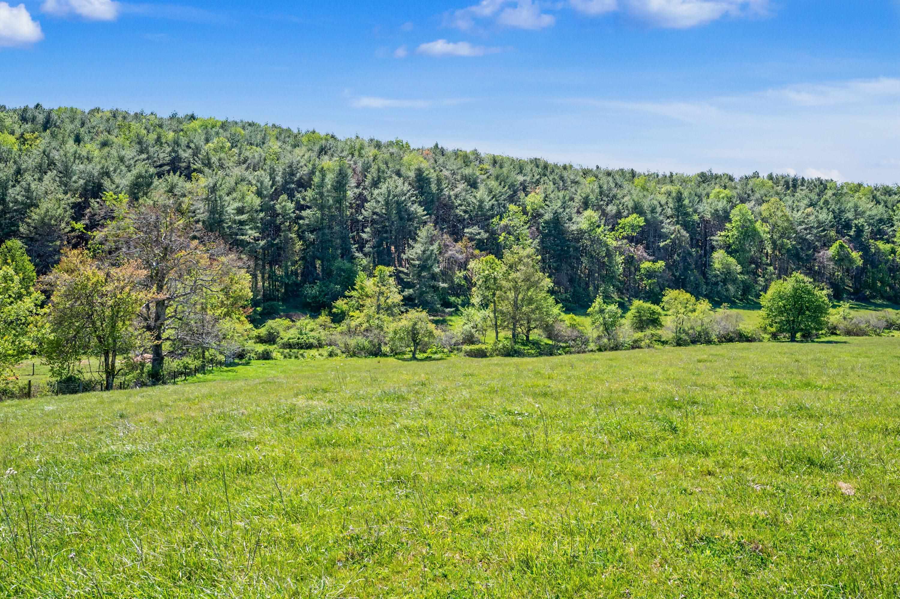 1370 Graysville Road SE Copper Hill VA 24079