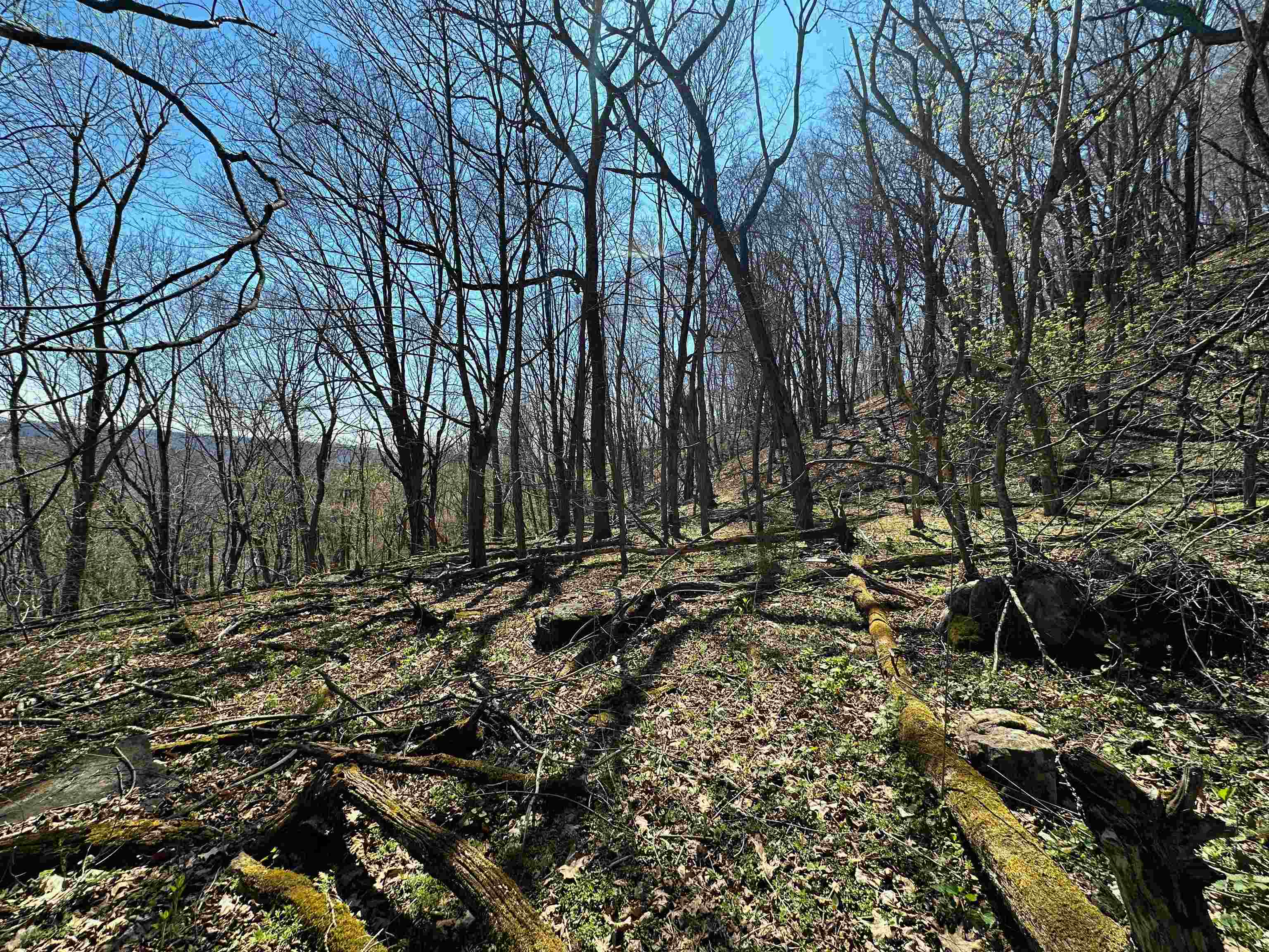 Tbd Mountain Lake Road Newport VA 24128